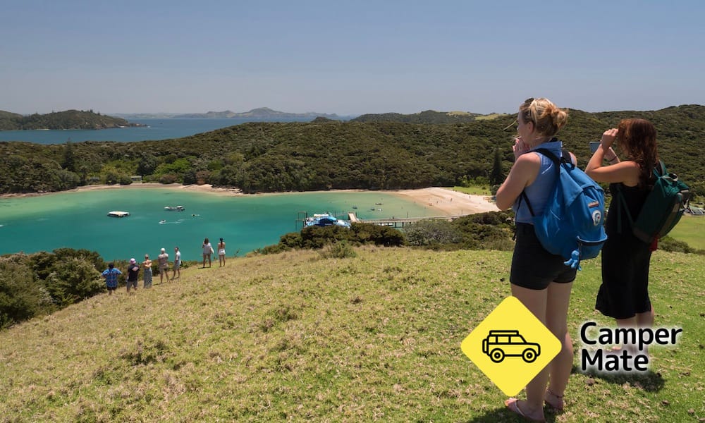 Bay of Islands Hole på Rock Dolphin Cruise - Image 3