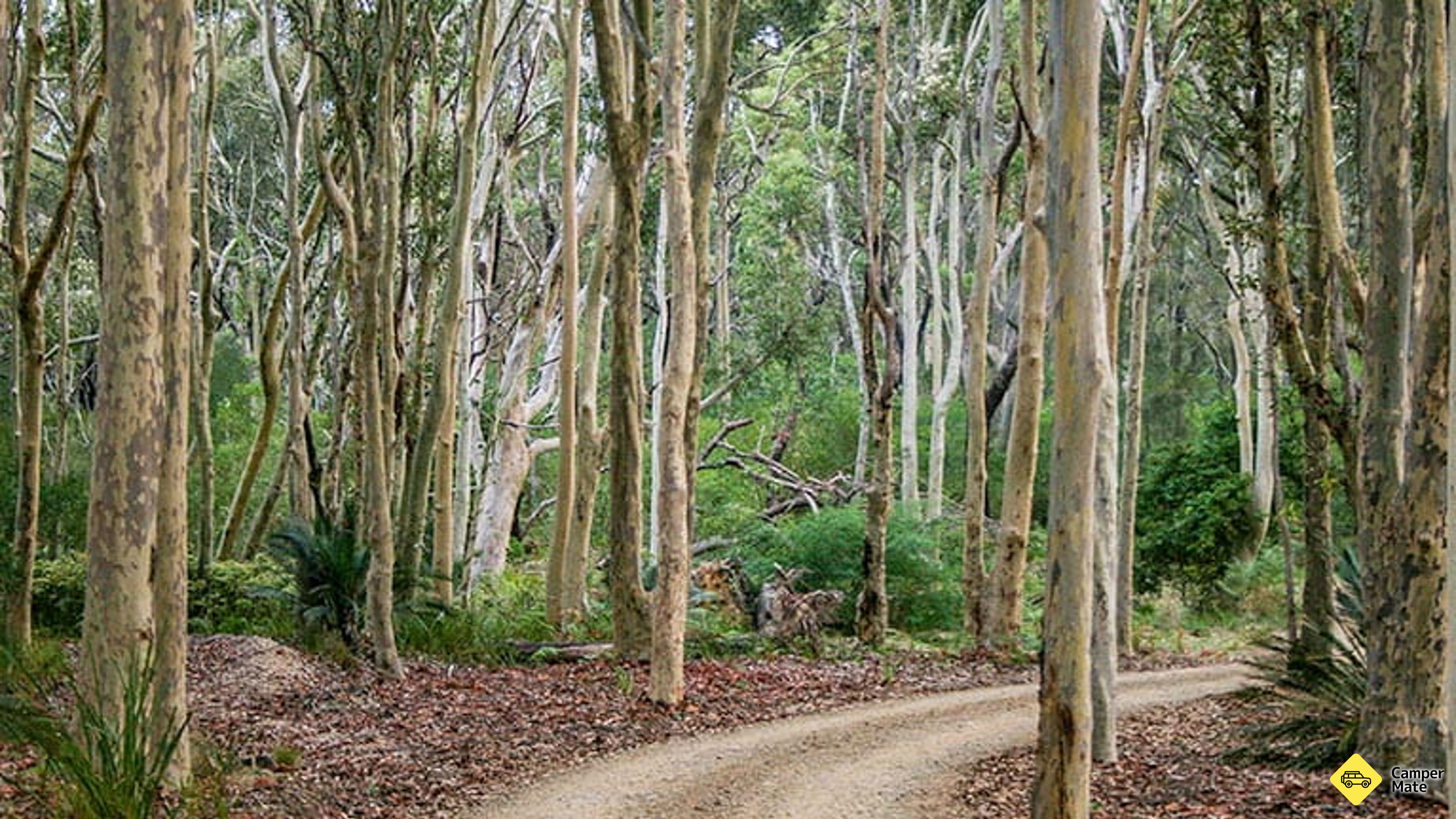 Ubytování Lake Campground