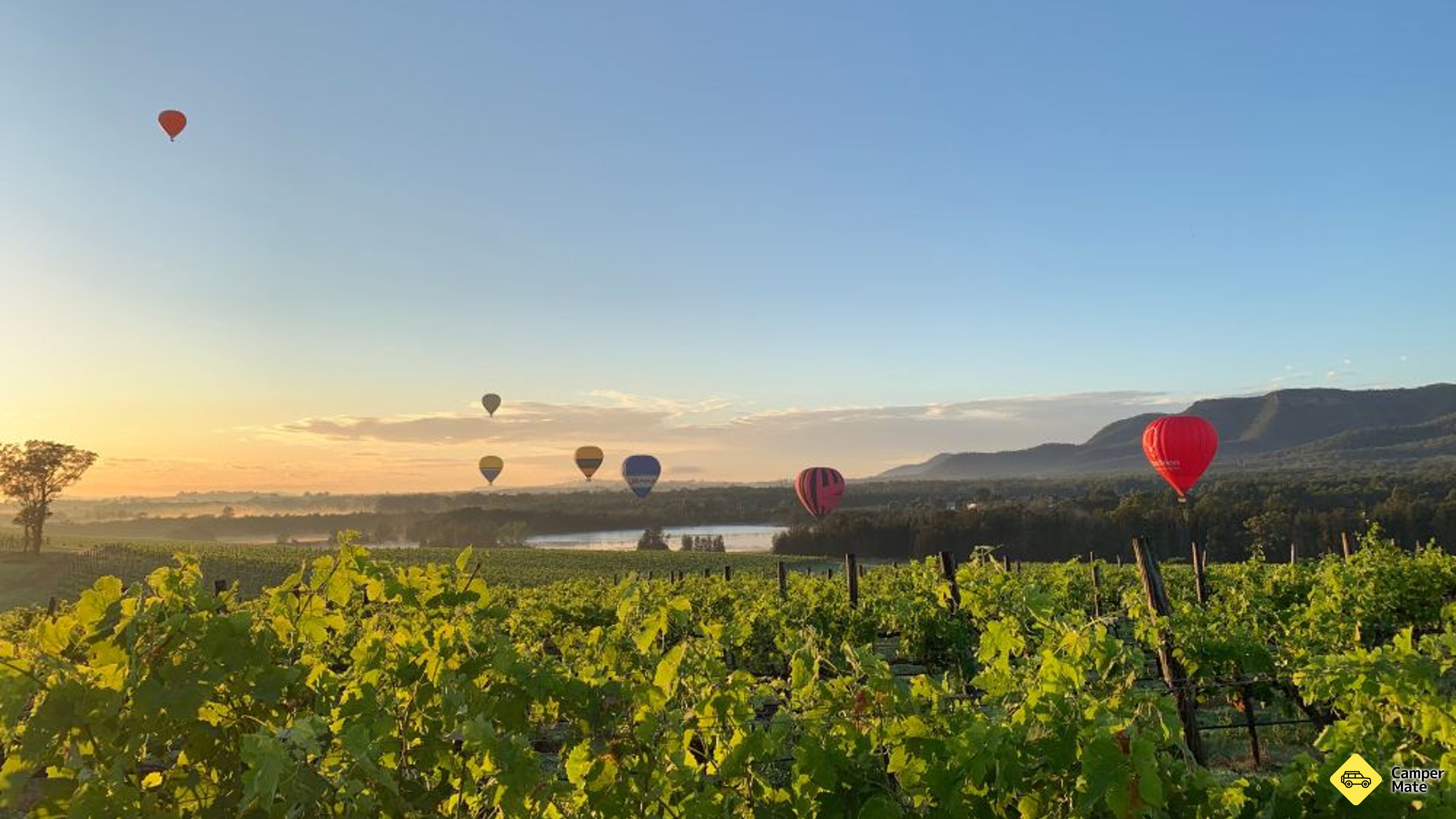 Sunrise Hunter Valley -kuumailmapallon lento
