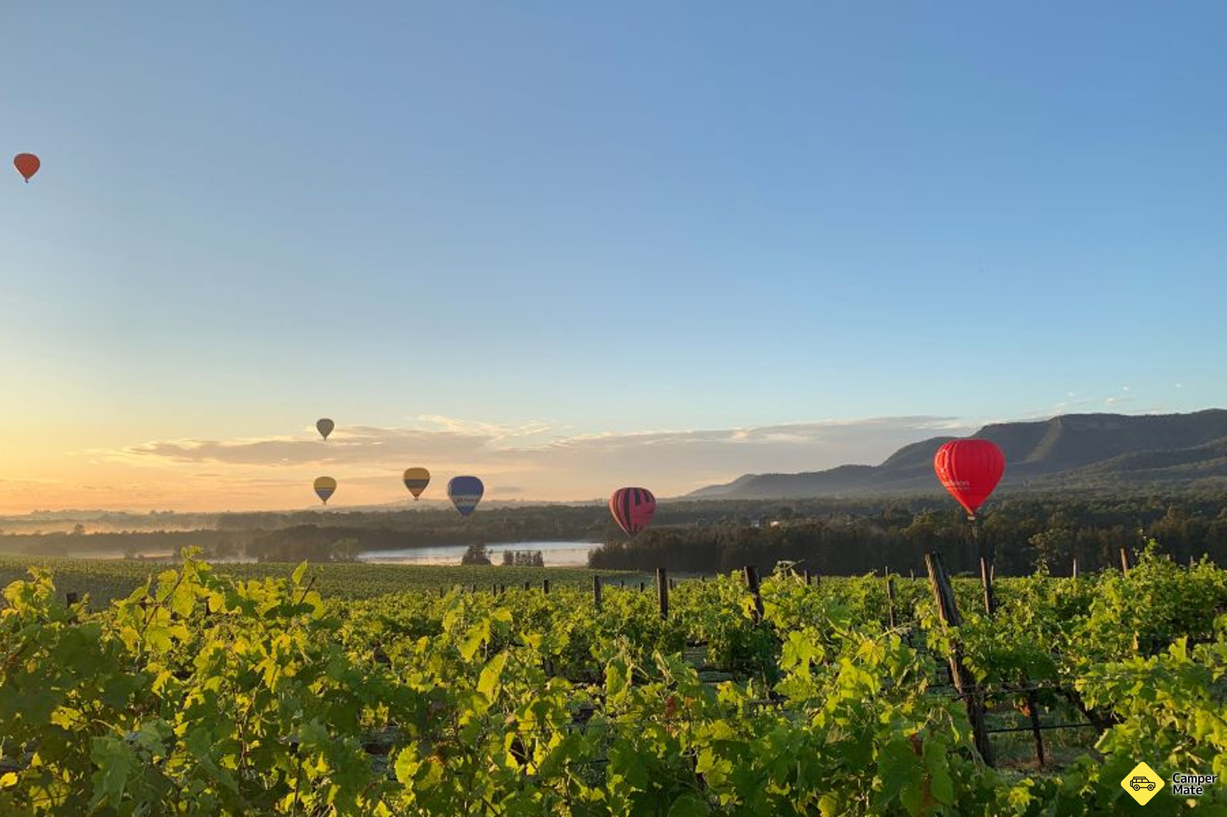 Sunrise Hunter Valley -kuumailmapallon lento