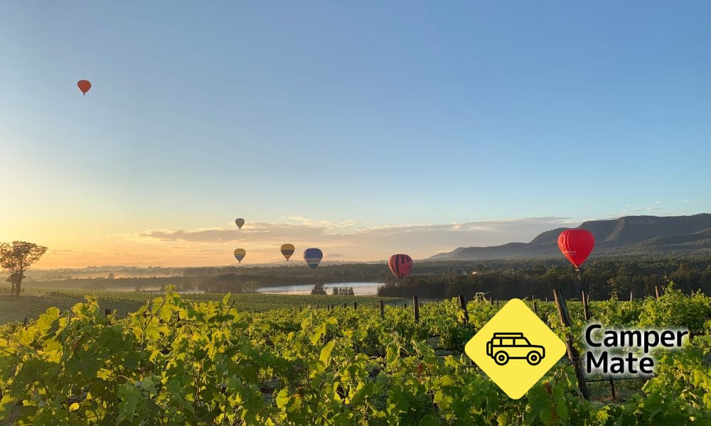 Sunrise Hunter Valley Hot Air Balloon Flight