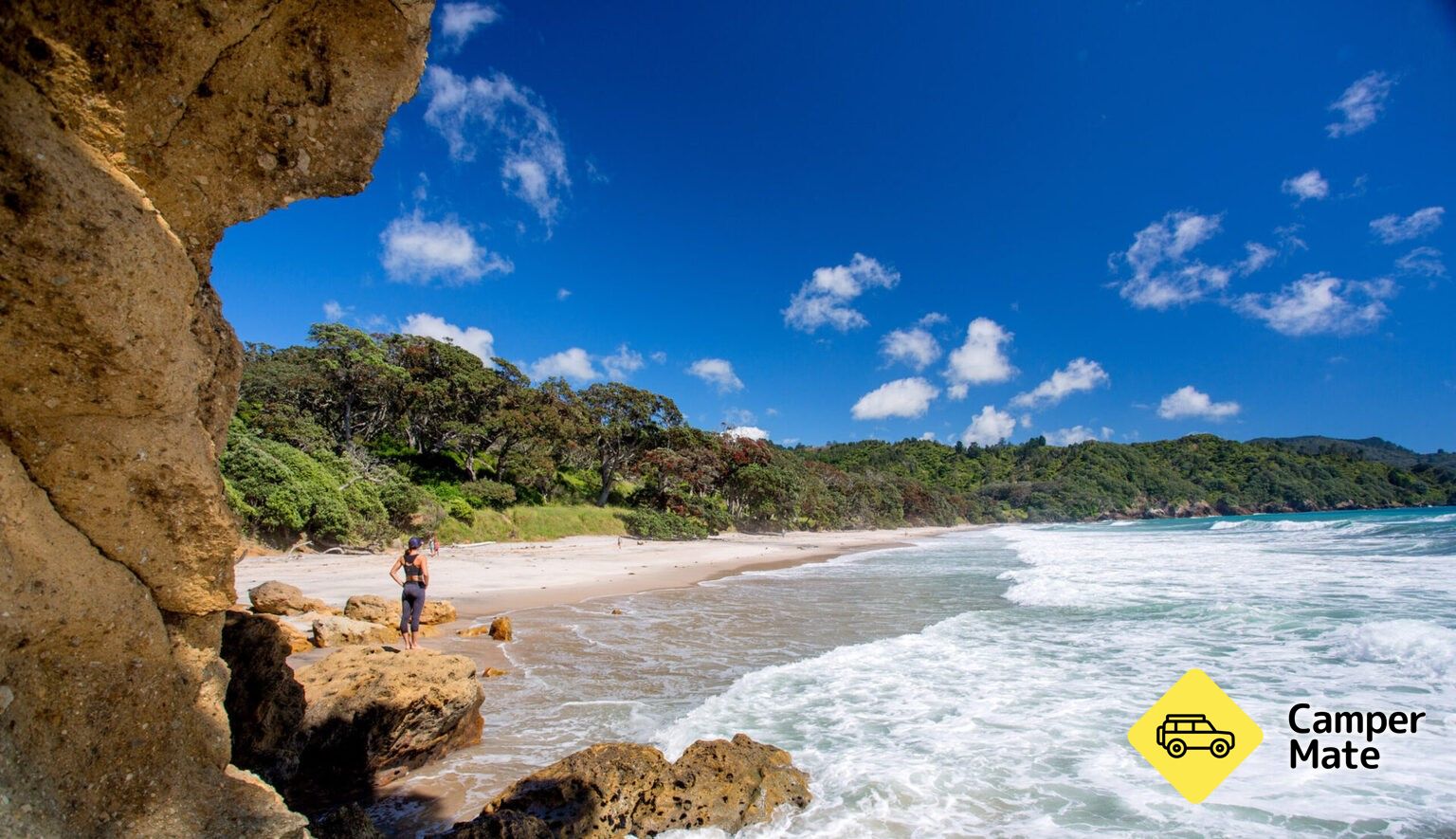 Waihi Beach to Orokawa Bay walk - Image 3