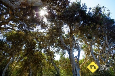 Alexander Bay Campground