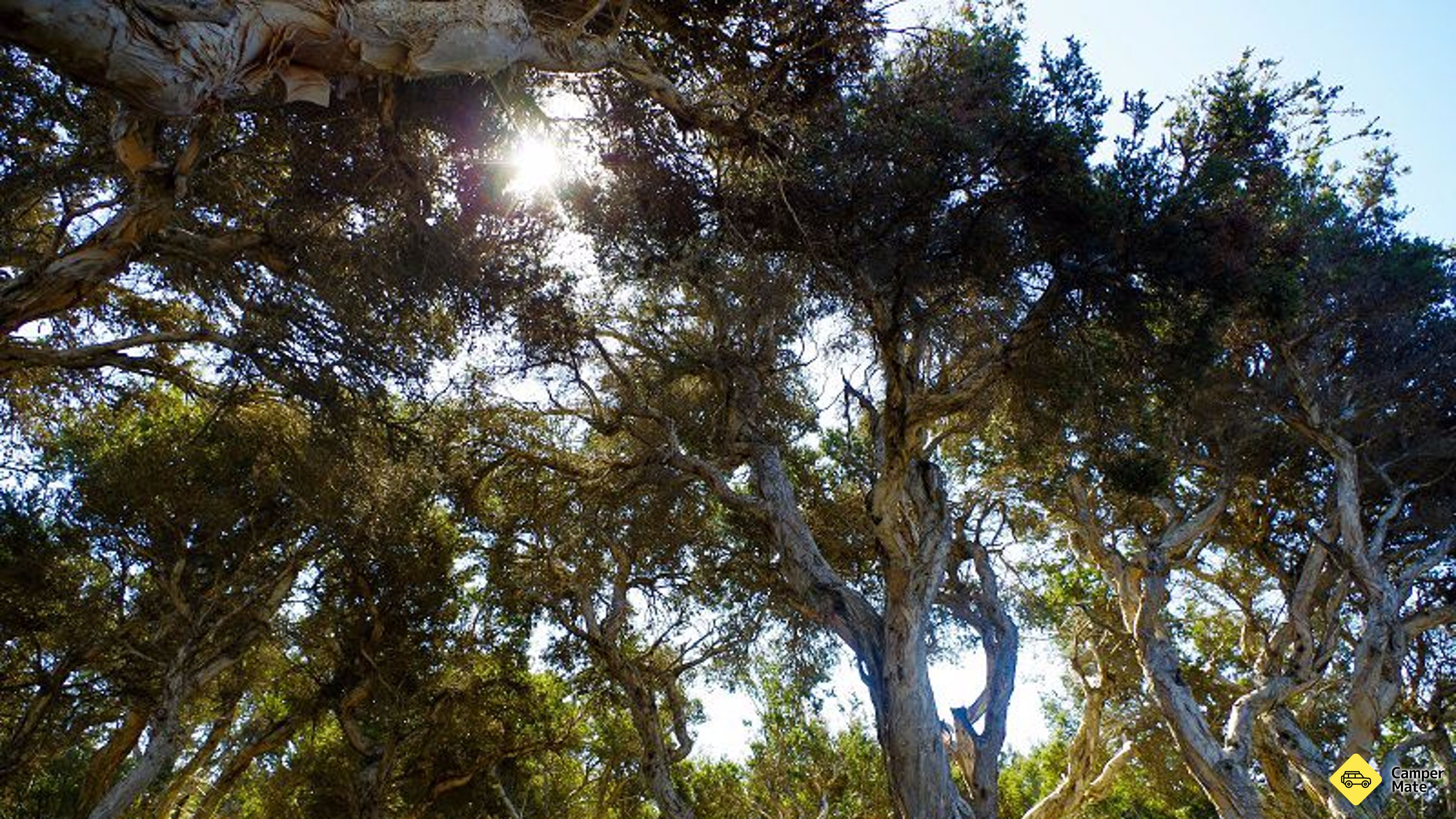 Alexander Bay Campground