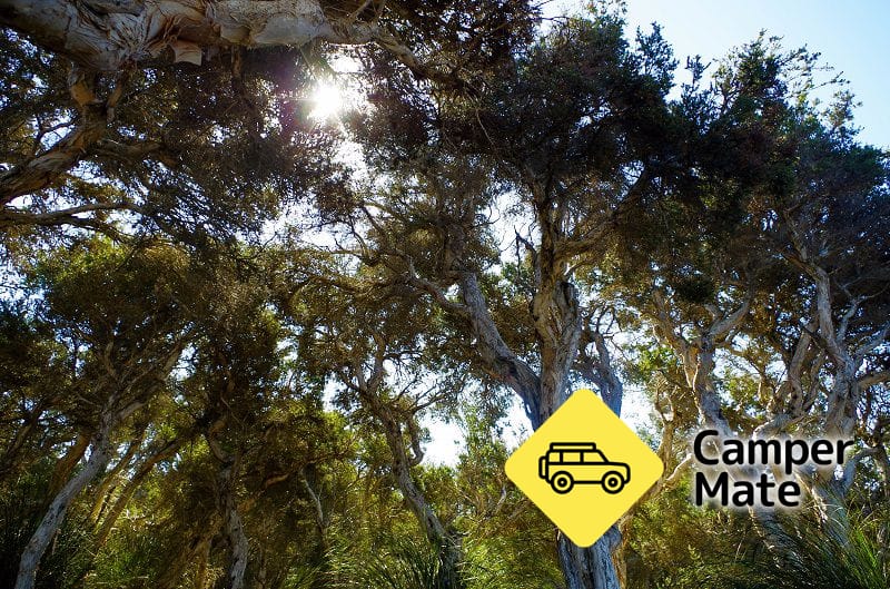 Alexander Bay Campground