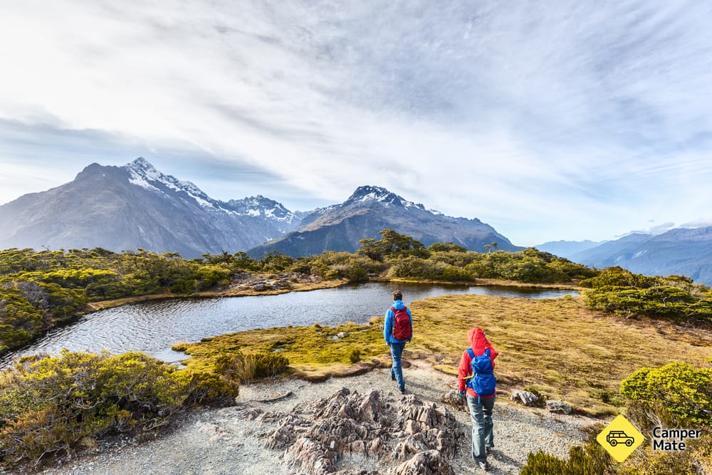 Top Winter Things to Do in Fiordland