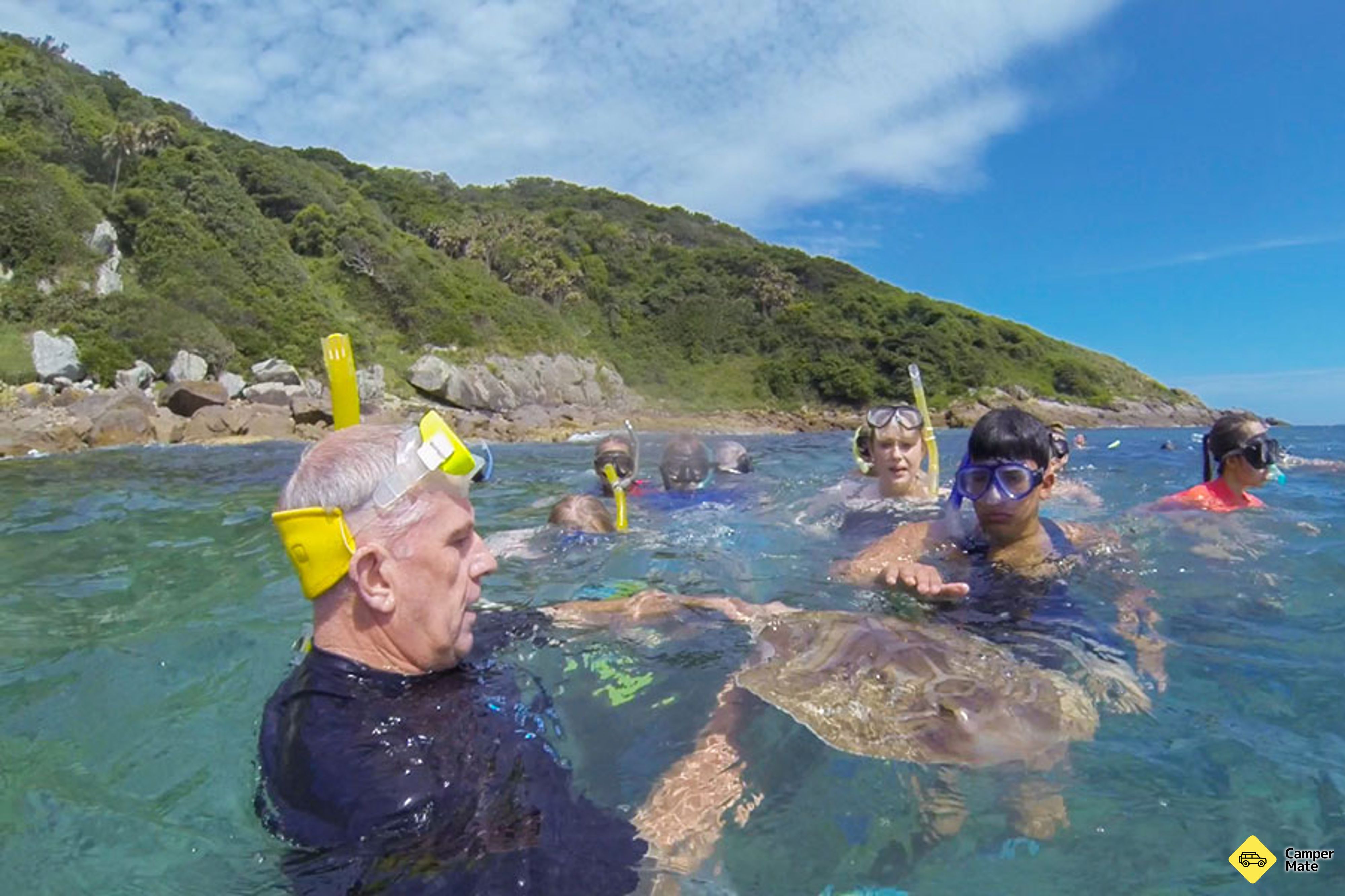 Cruceros Discovery con snorkeling - Image 2