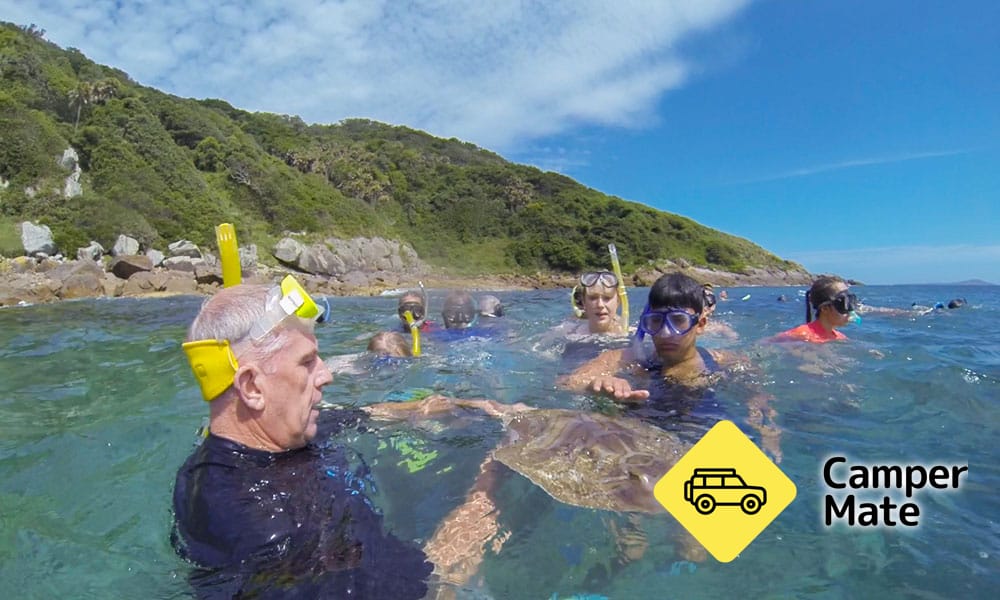 Marine Discovery Cruise with Snorkelling - Image 2