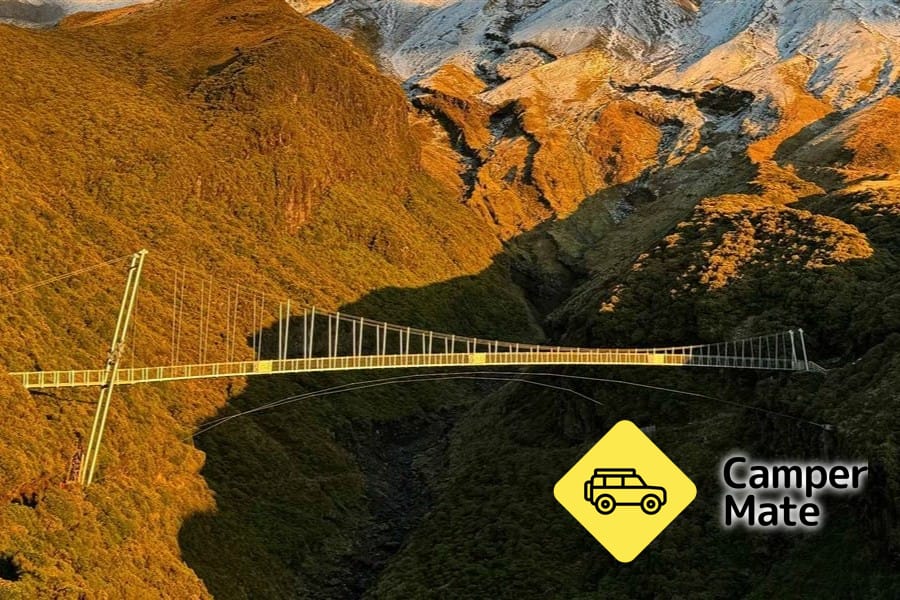 Manganui Gorge Track and Suspension Bridge - Image 3