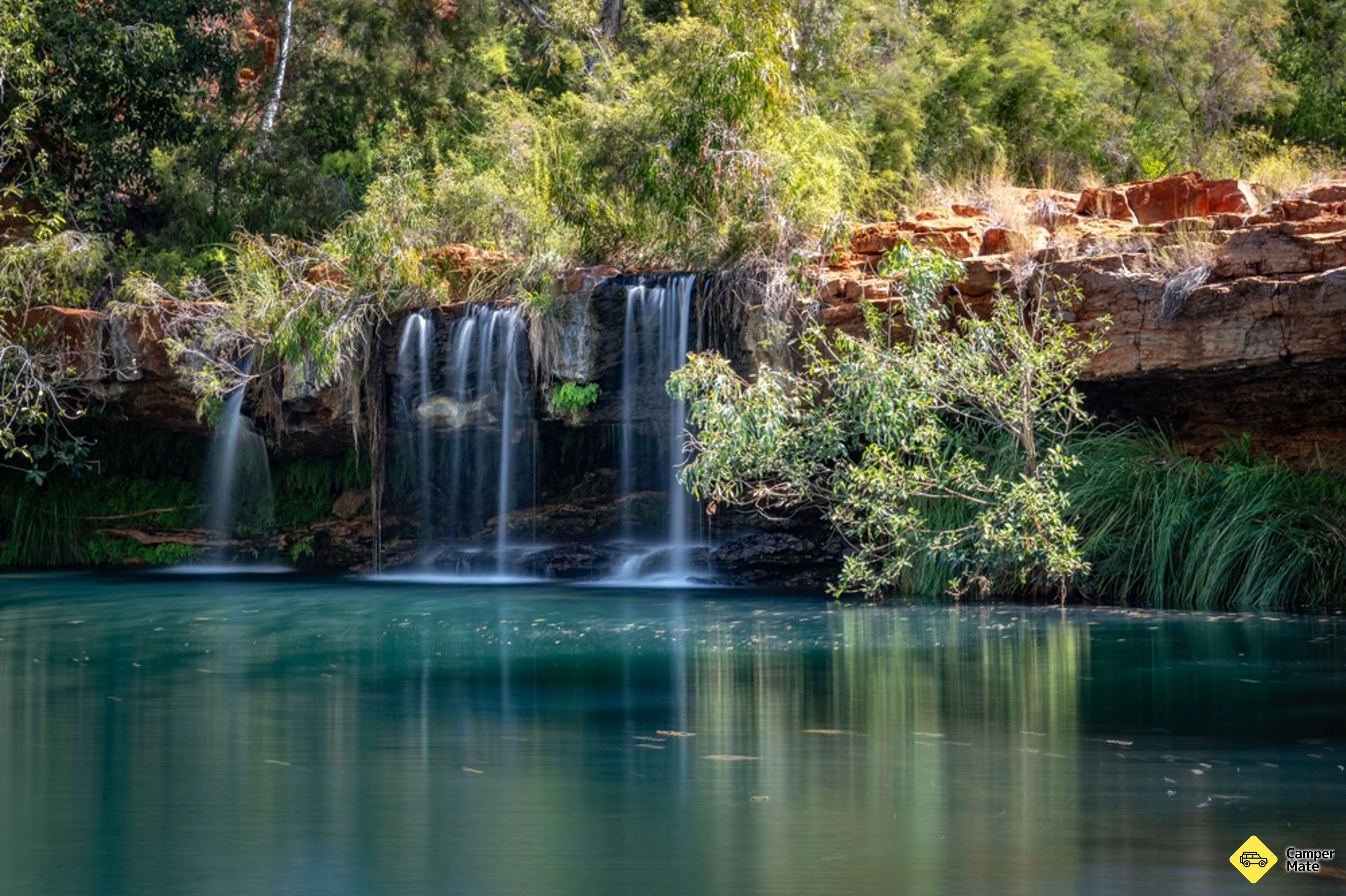 Fern Pool