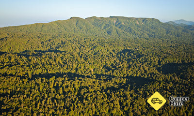 Aongatete Forest Walks