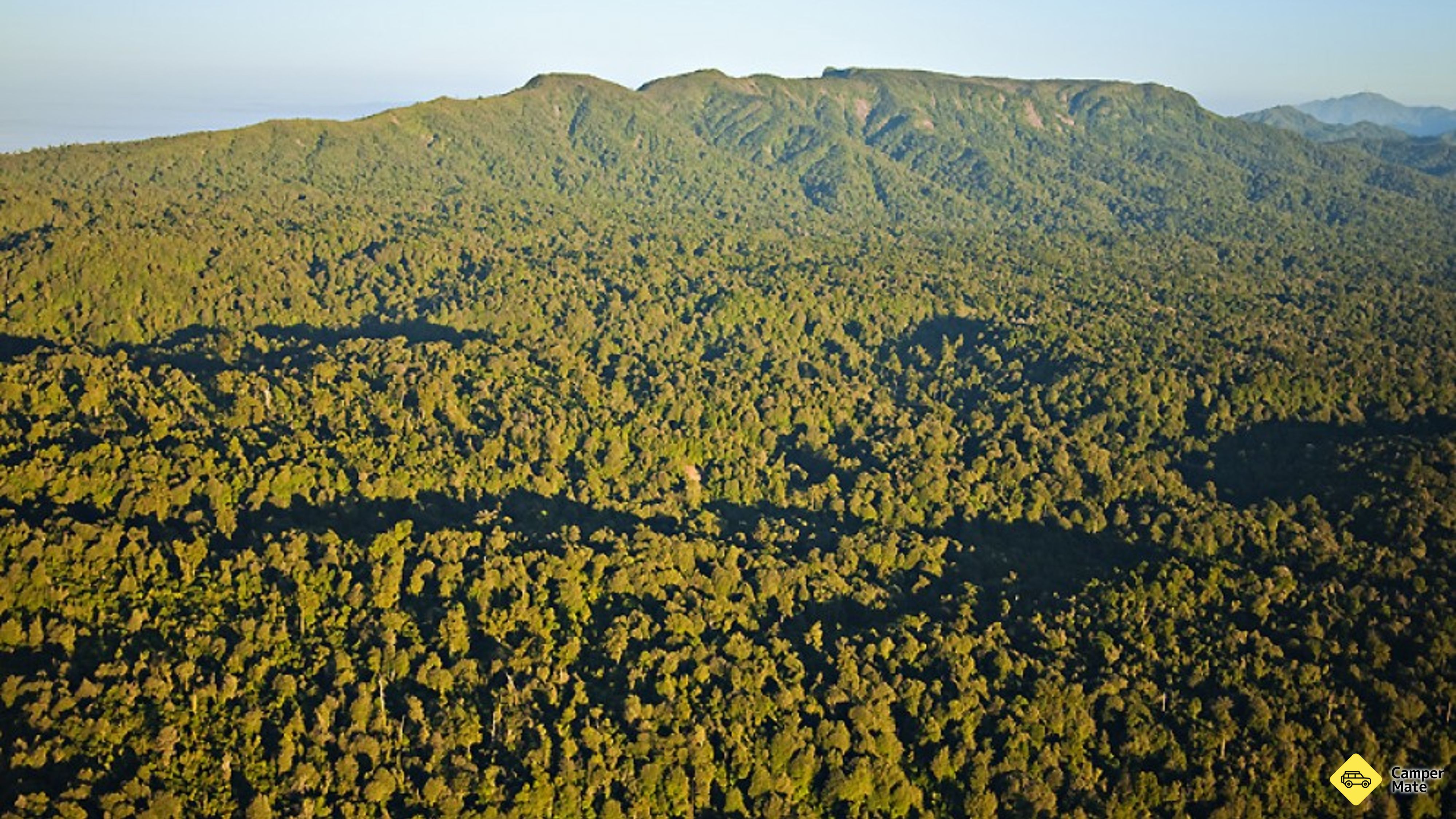 Aongatete Forest Walks
