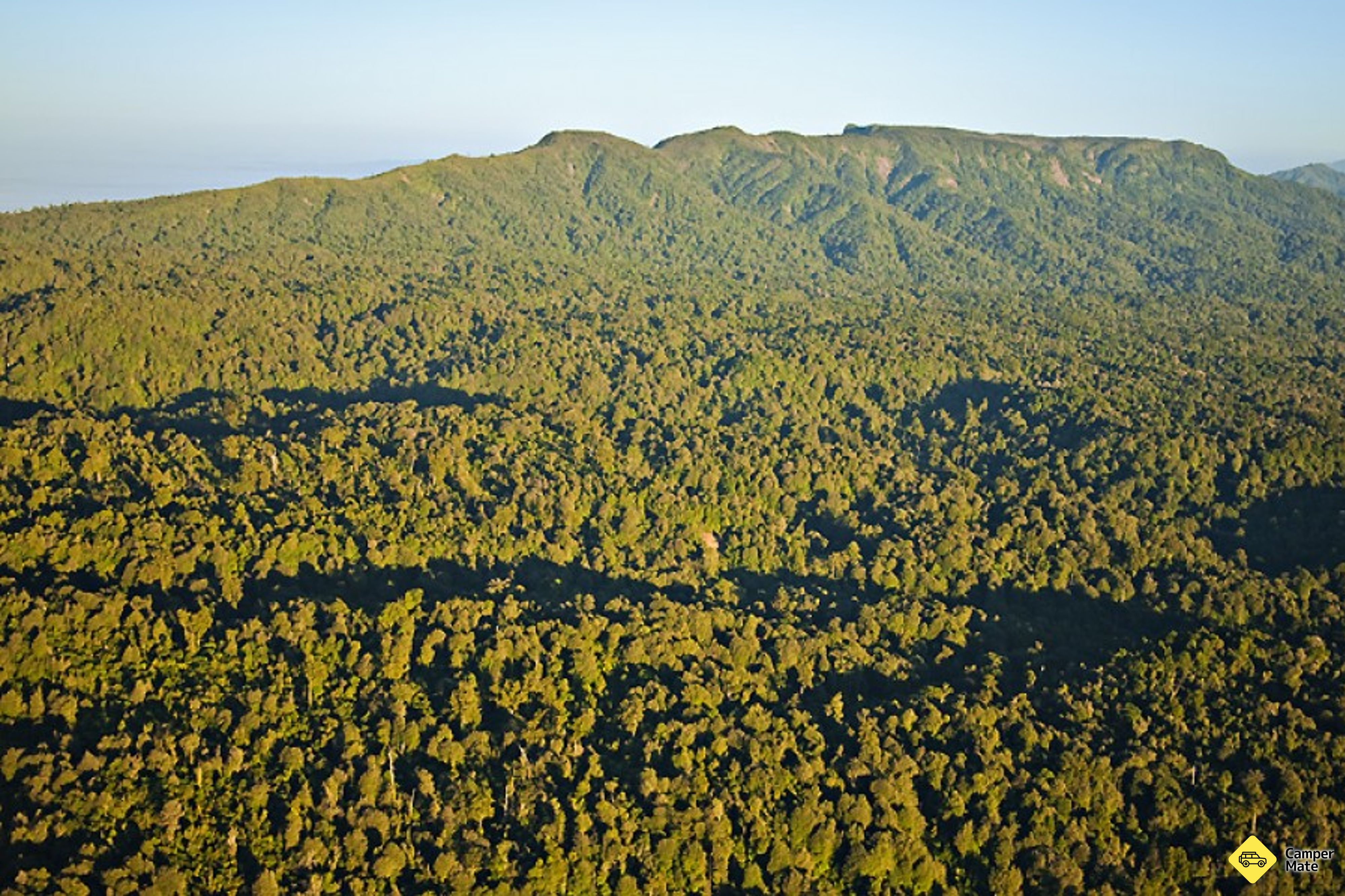 Aongatete Forest Walks