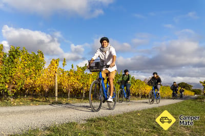Αυτο-οδηγούμενη ποδηλασία Wine Tours Marlborough