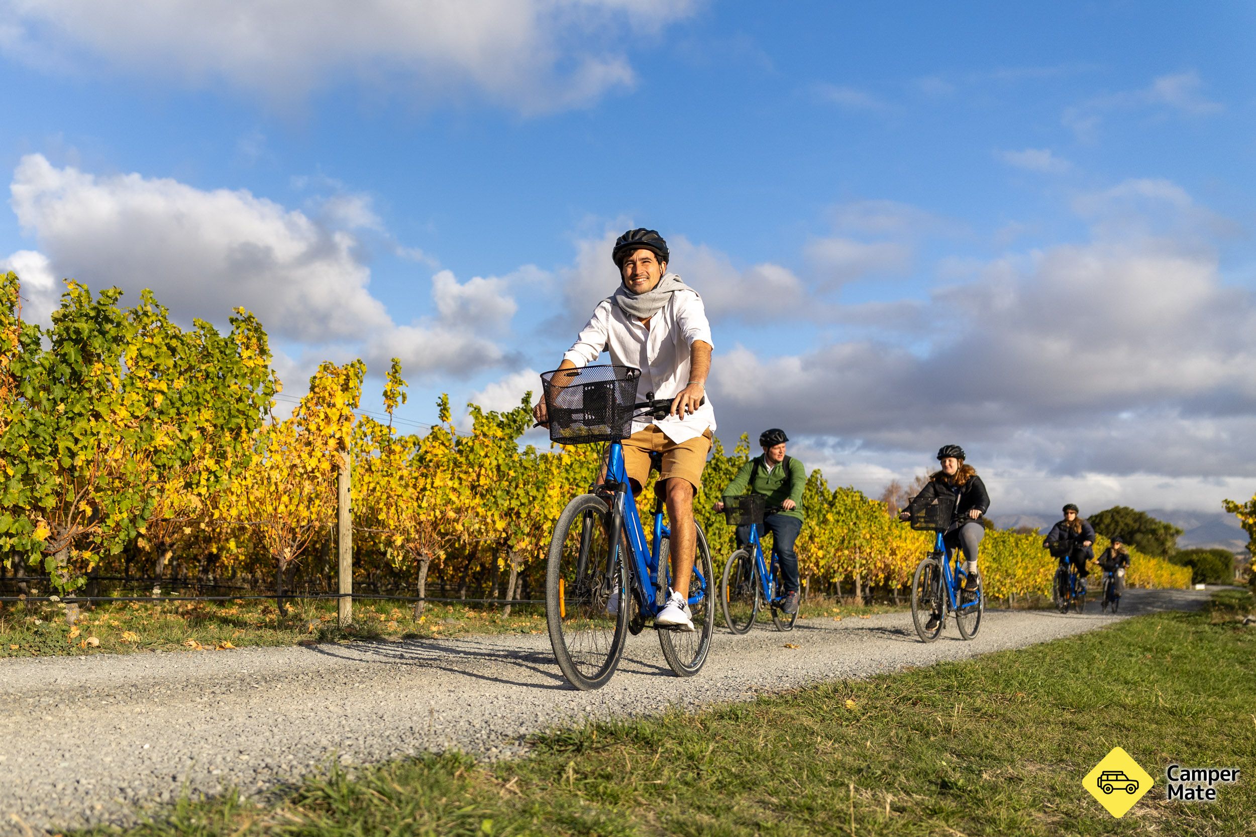 Αυτο-οδηγούμενη ποδηλασία Wine Tours Marlborough