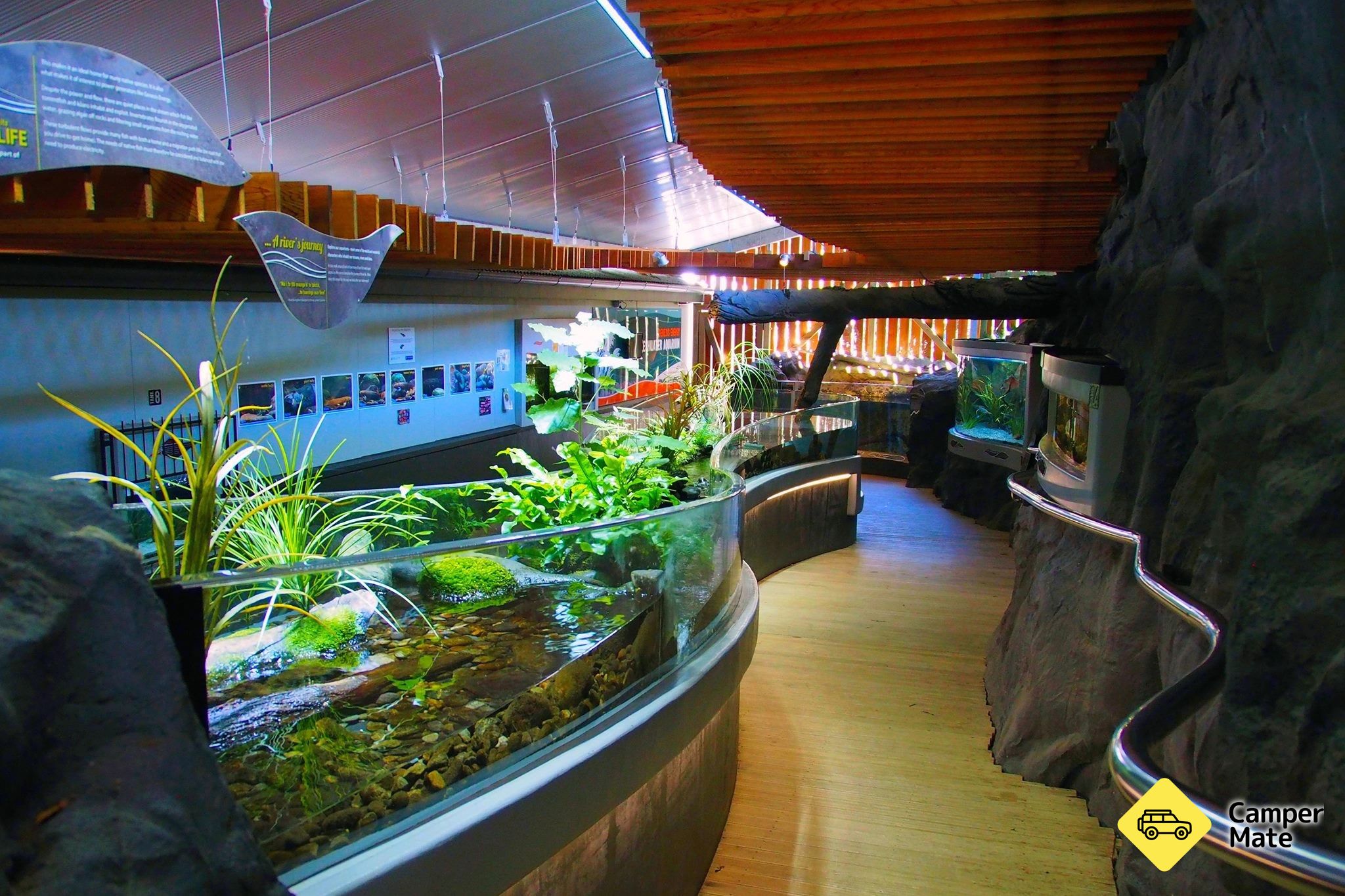 Tongariro National Trout Centre  - Image 3