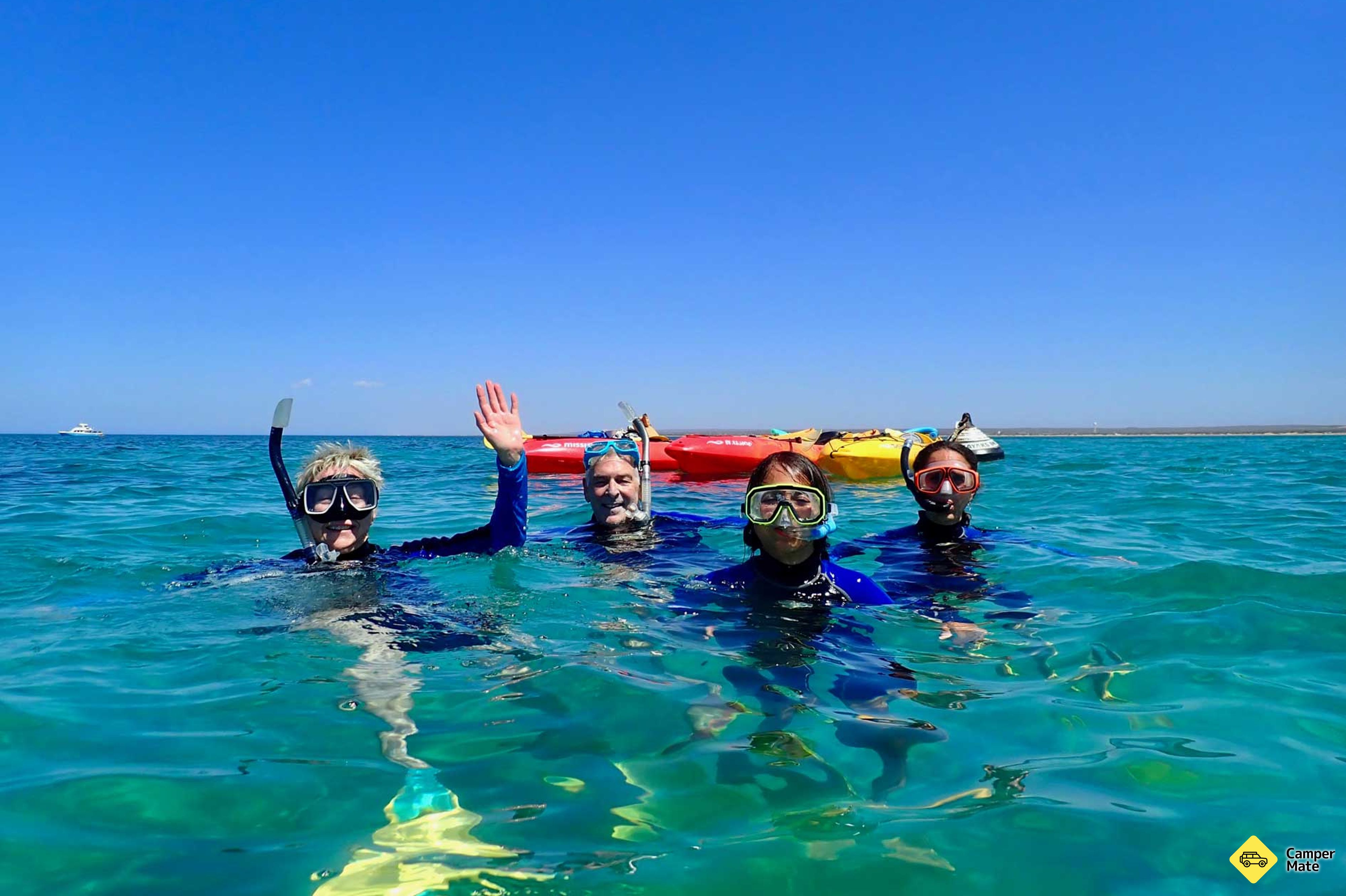 Tur Turtle by Sea Kayak dan Snorkel Tour - Image 3
