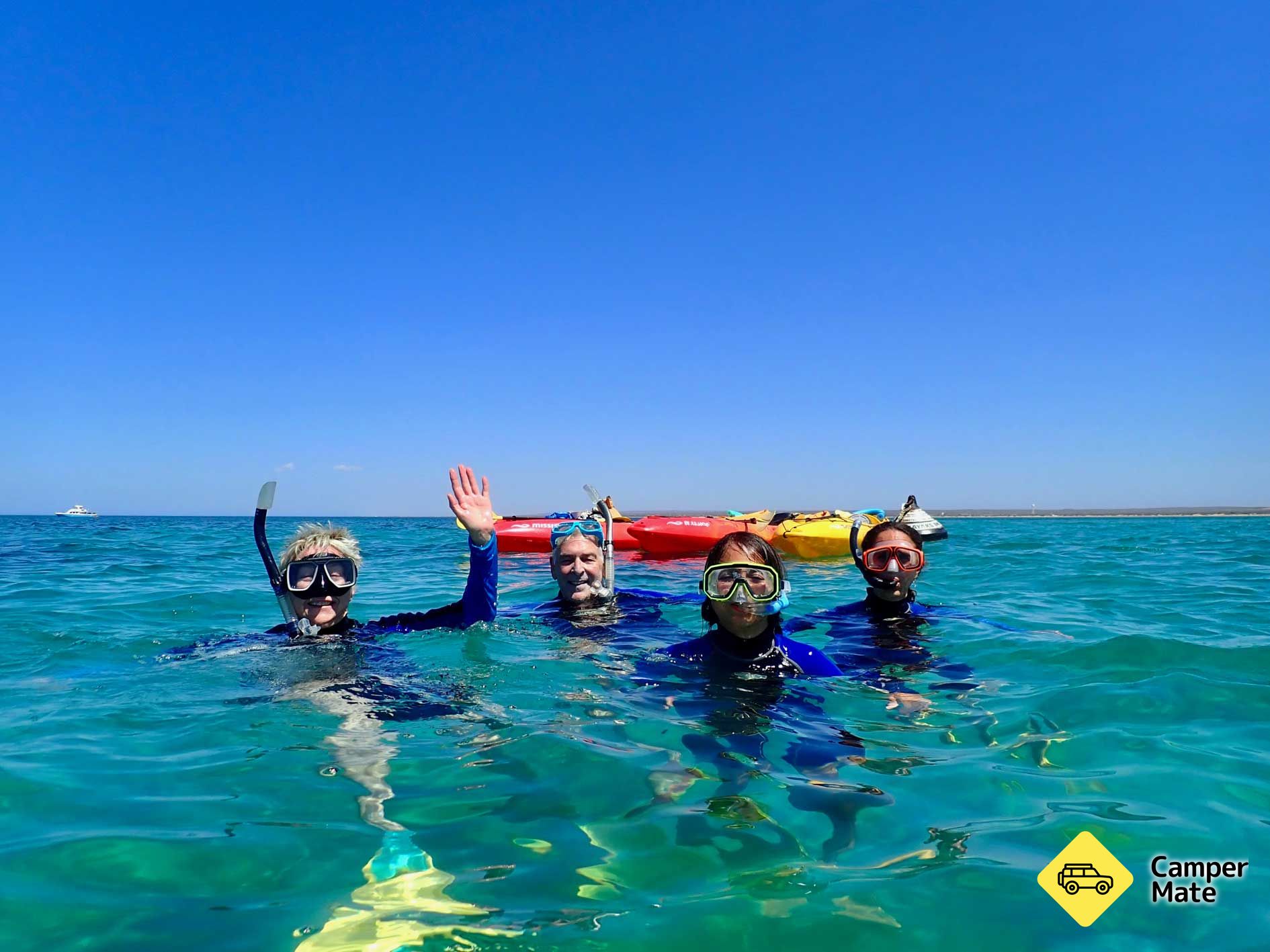 Turtle Tour by Sea Kayak and Snorkel Tour - Image 3