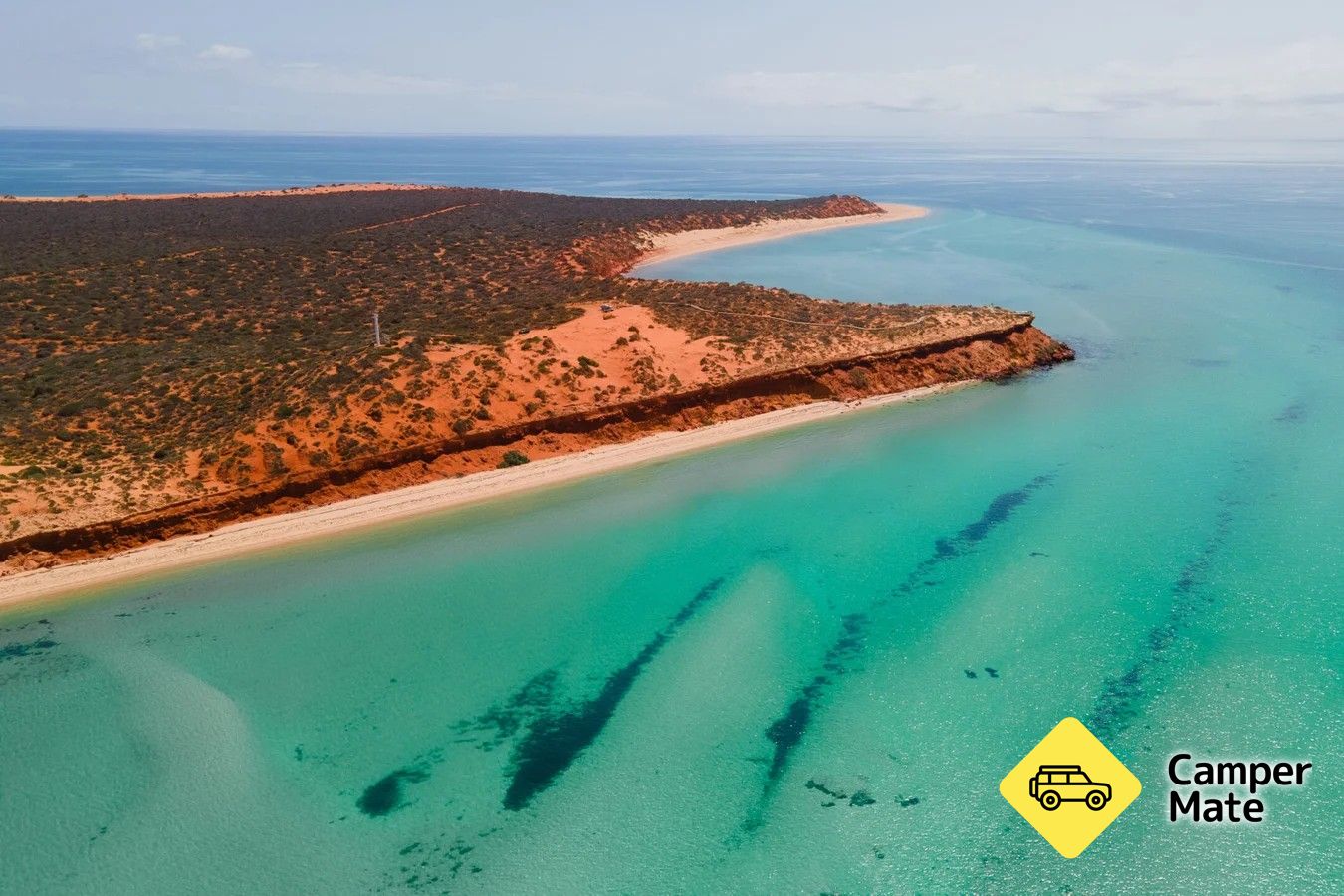 Shark Bay Eco Tours - Image 3