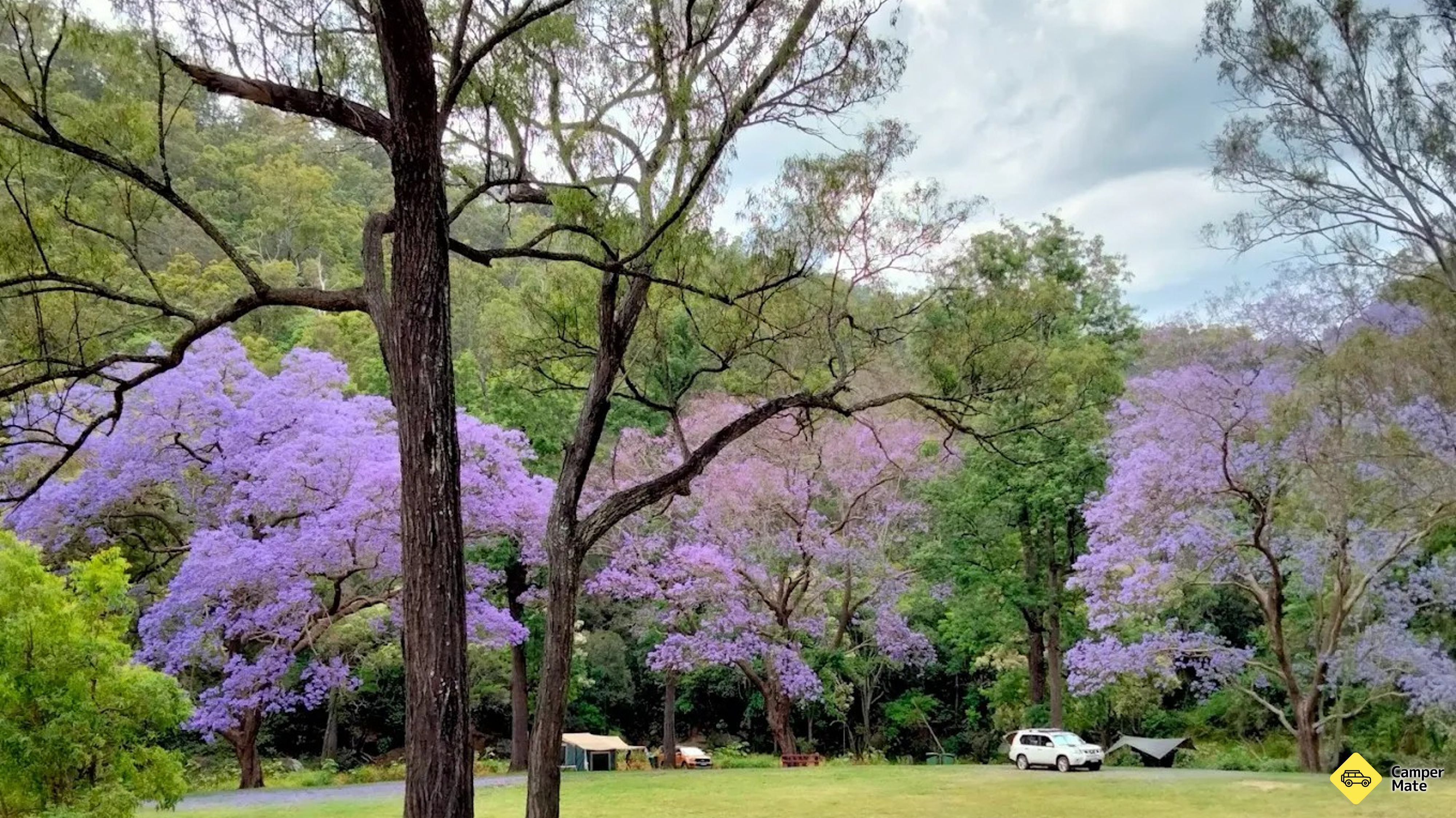 Heifer Creek Camping
