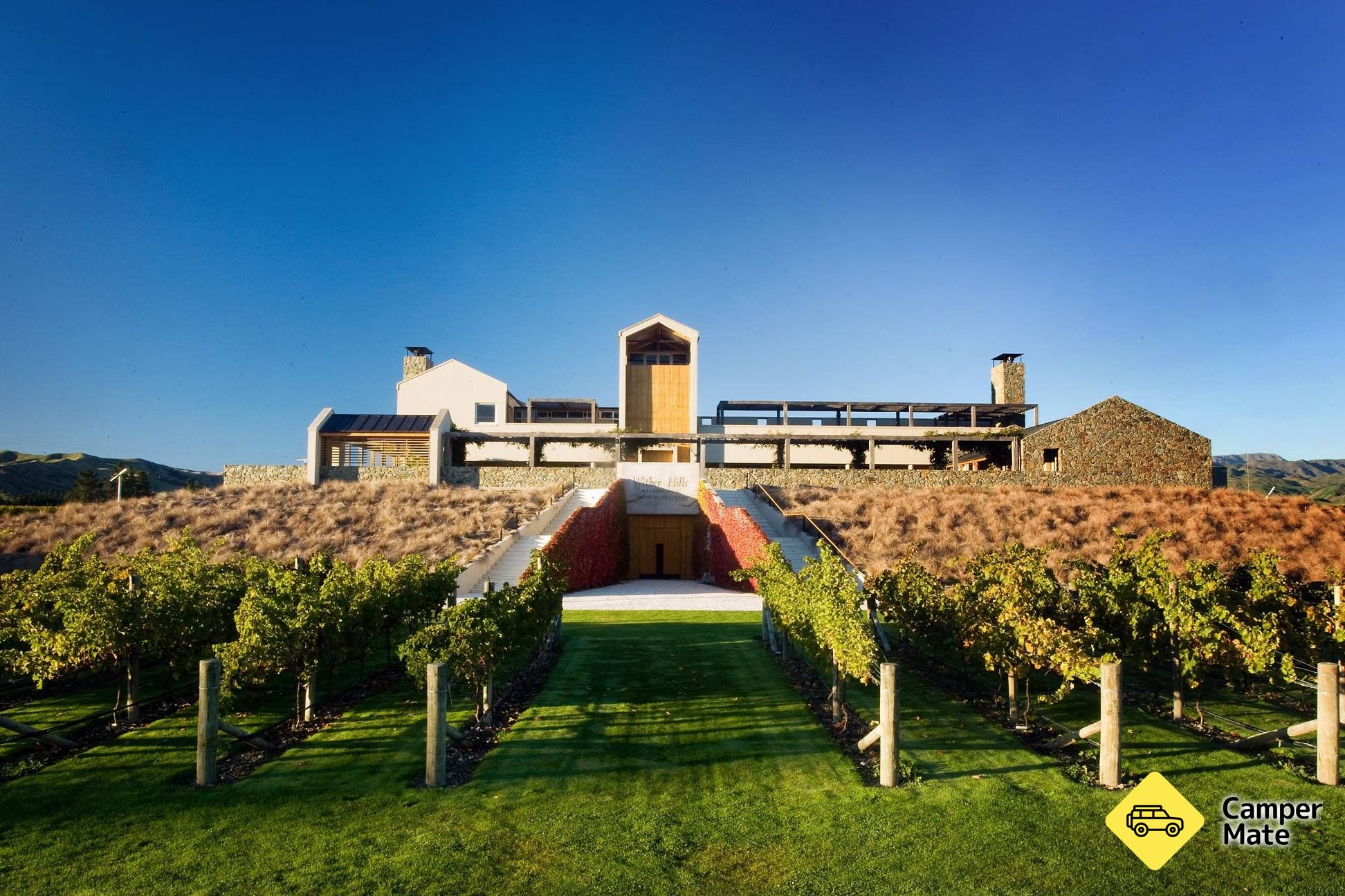Wither Hills Winery - Image 3