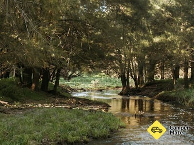 Bakers Shaft الحديدة