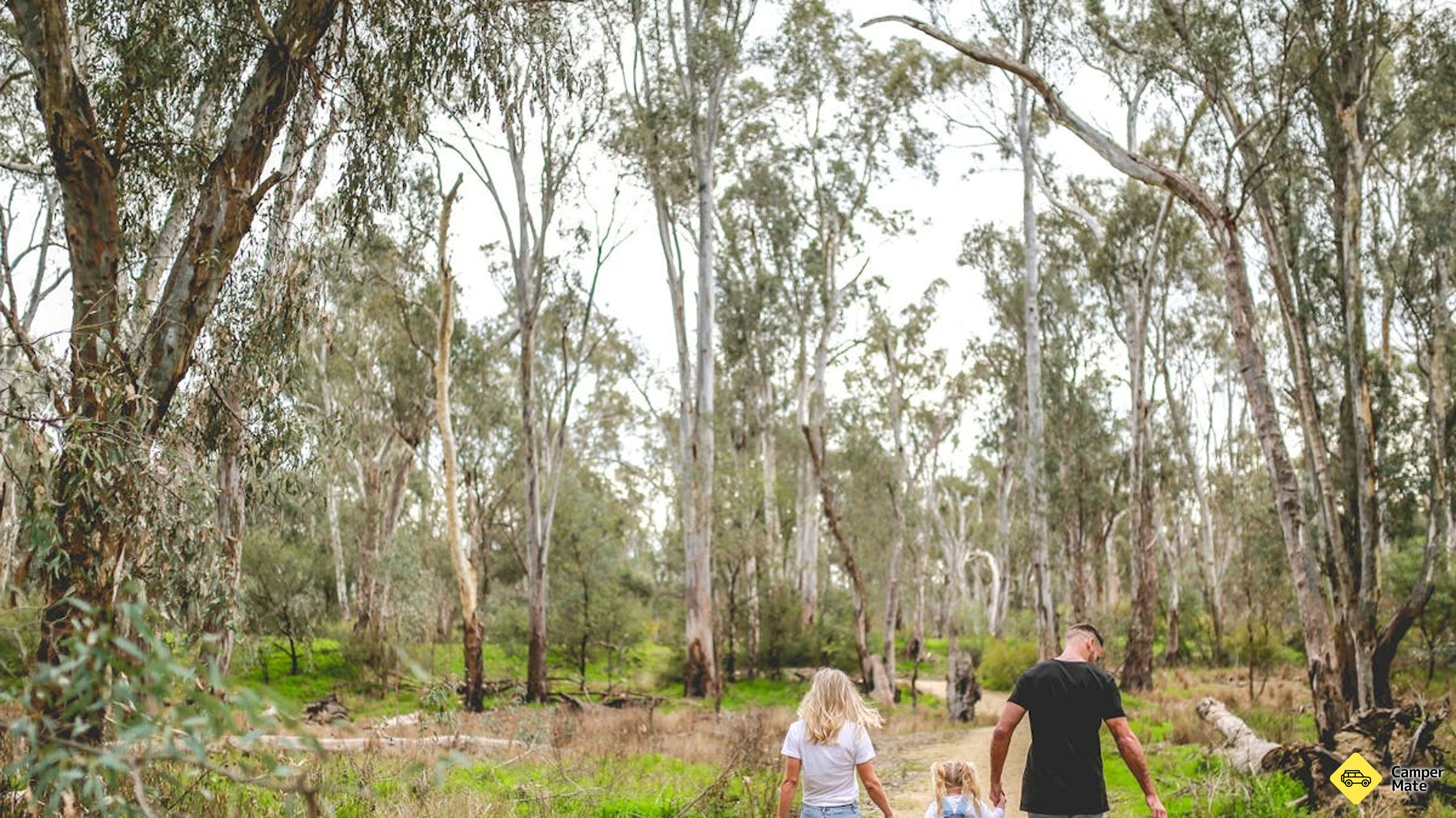 Moama Beach Nature Walk