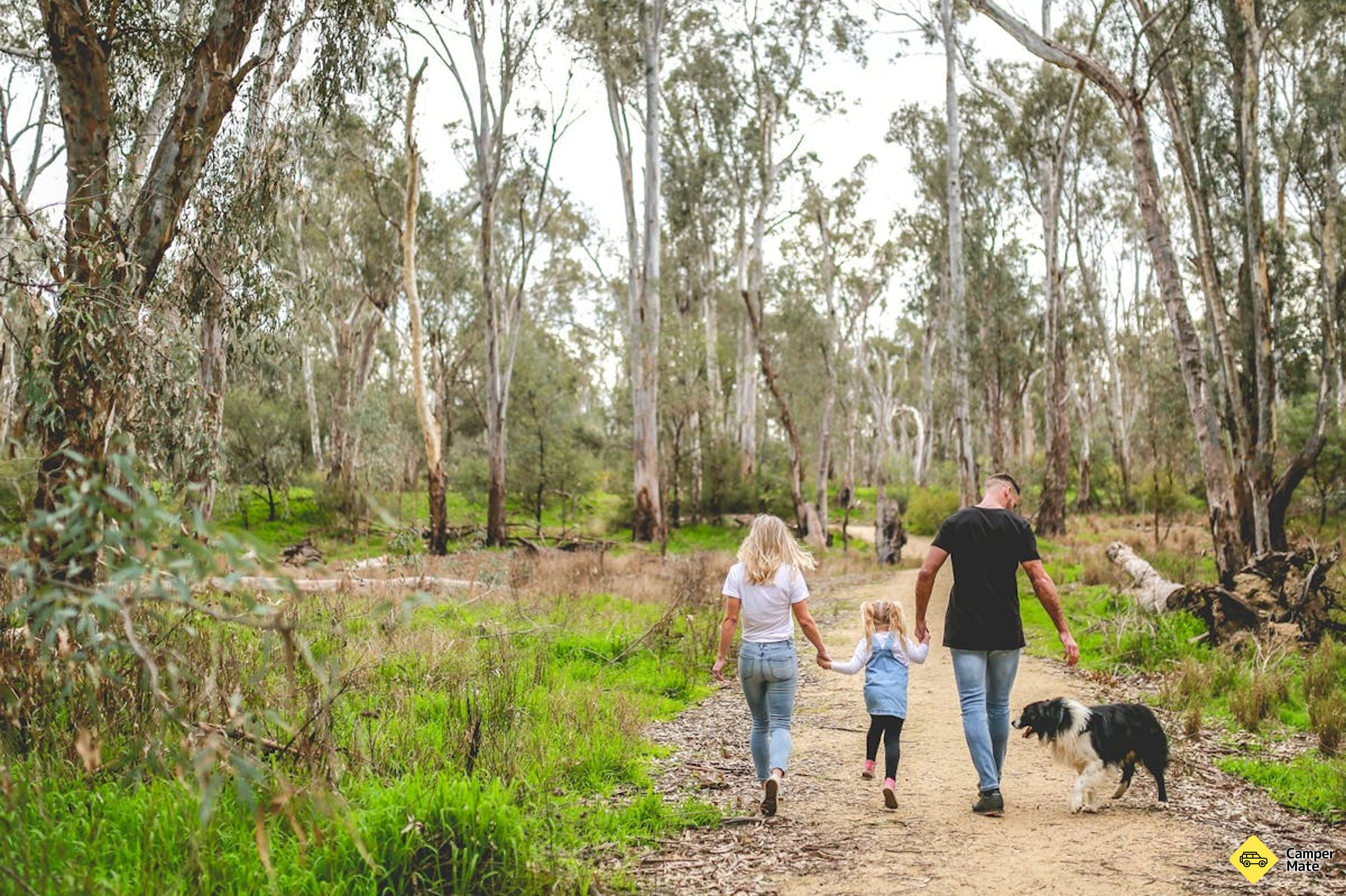 Moama Beach Nature Walk