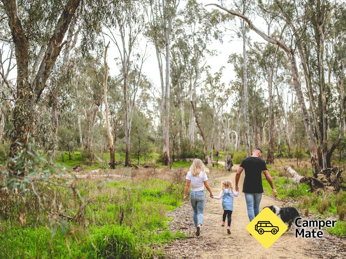 Moama Beach Nature Walk