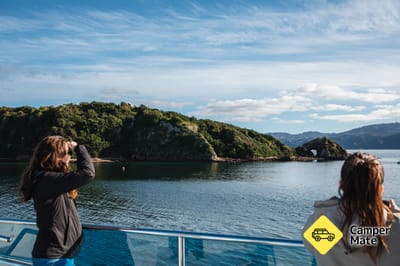 Wellington Harbour Explorer