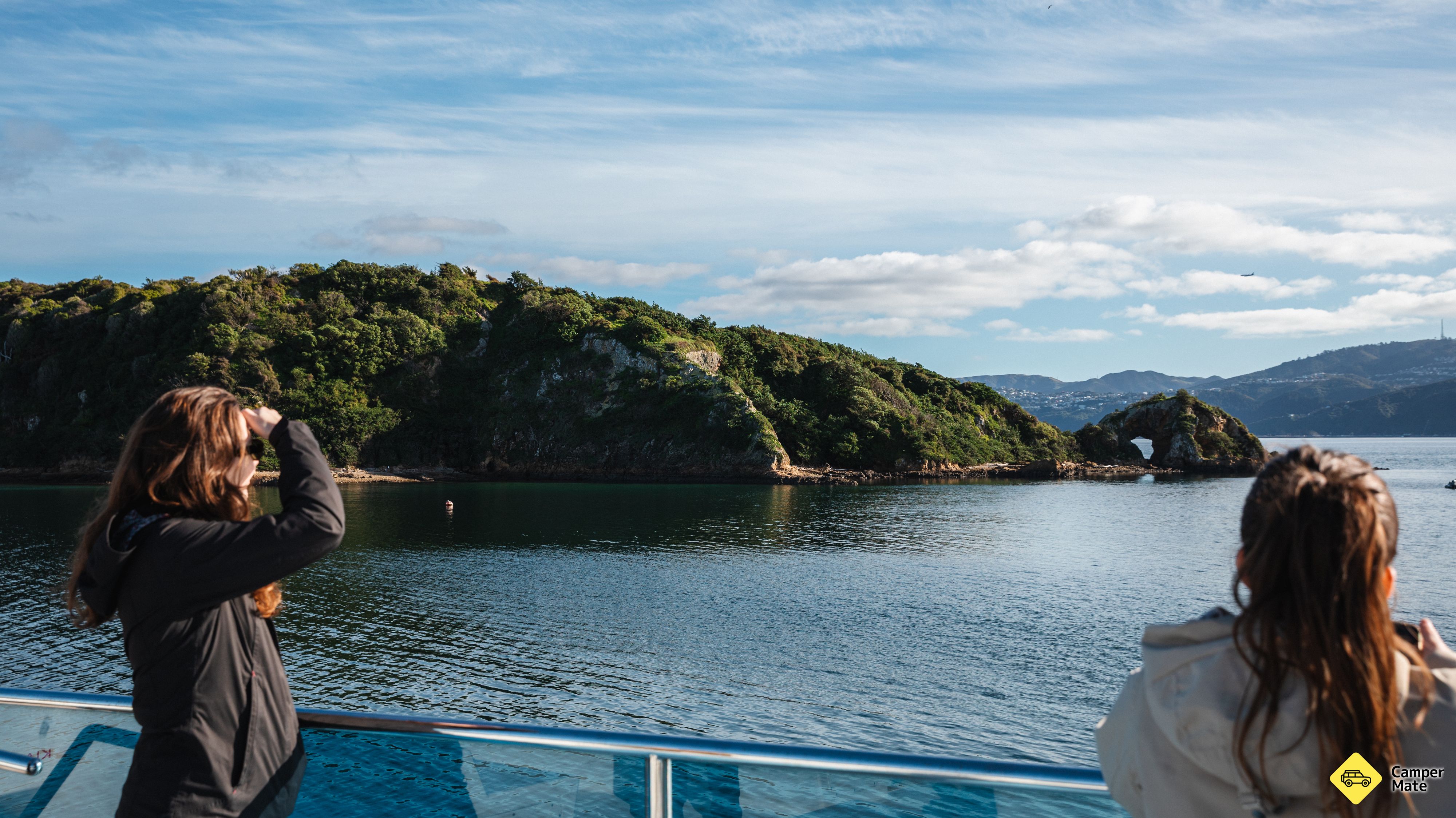 Wellington Harbour Explorer