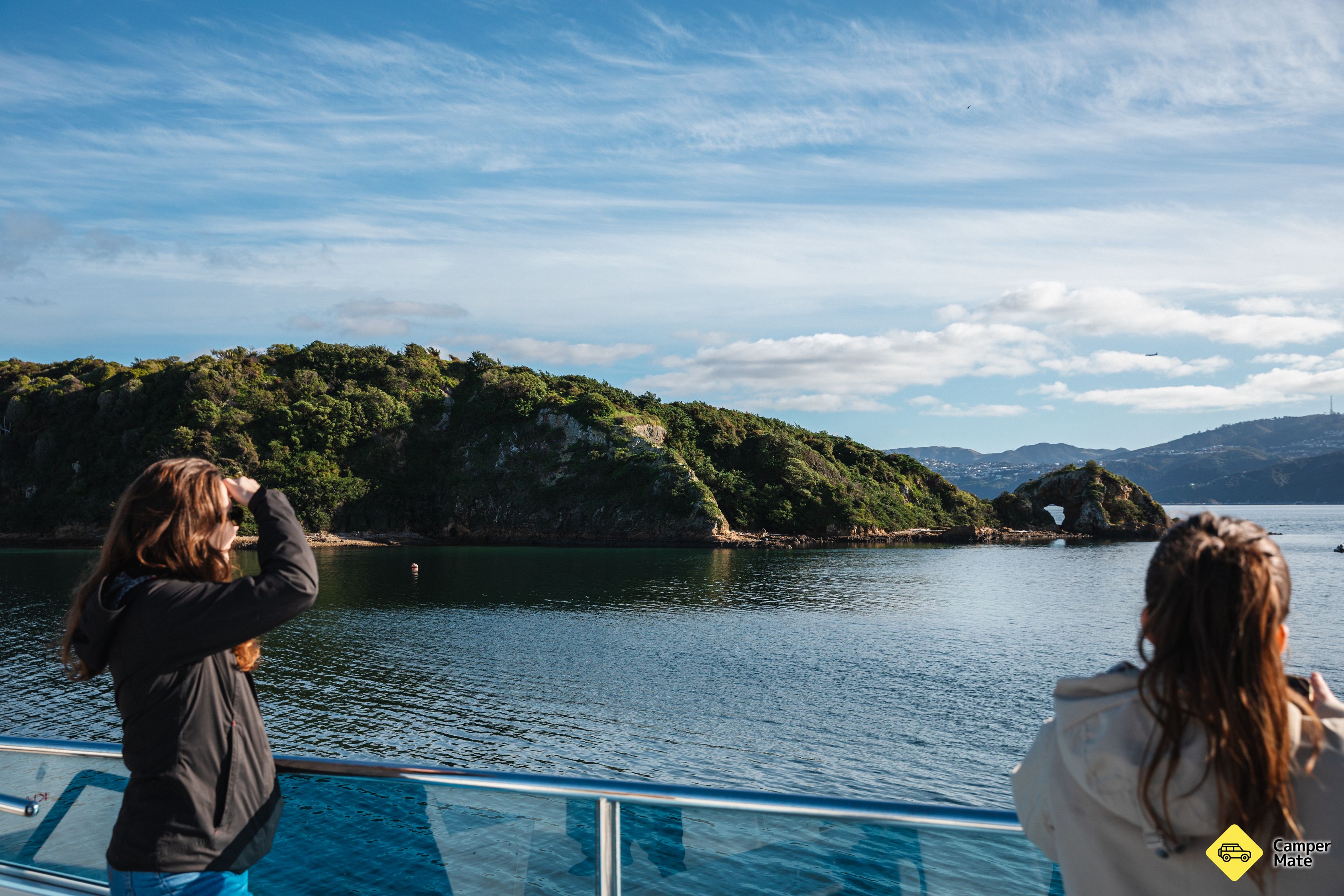 Wellington Harbour Explorer