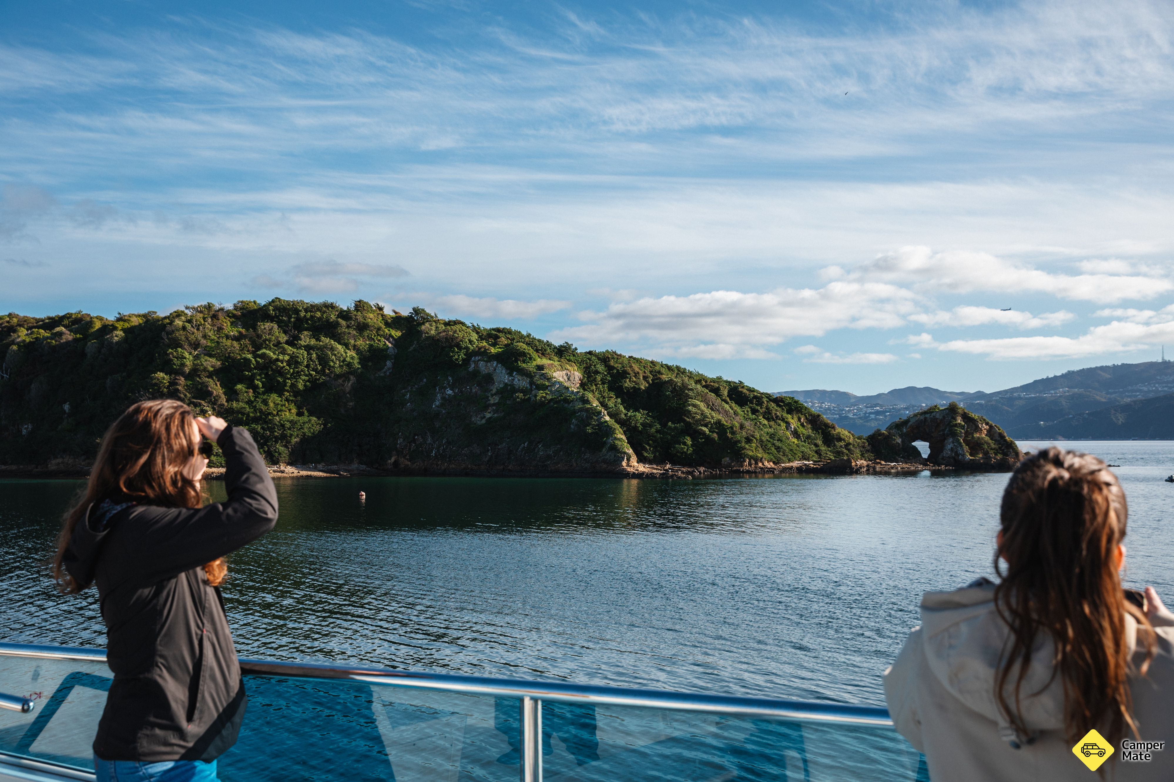 Wellington Harbour Explorer