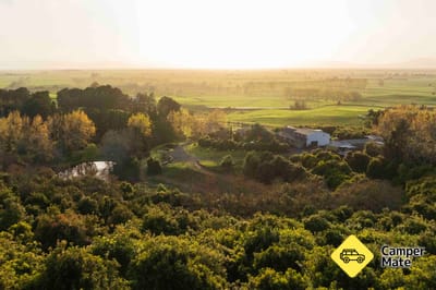 Top Notch Macadamias and Orchard Tours