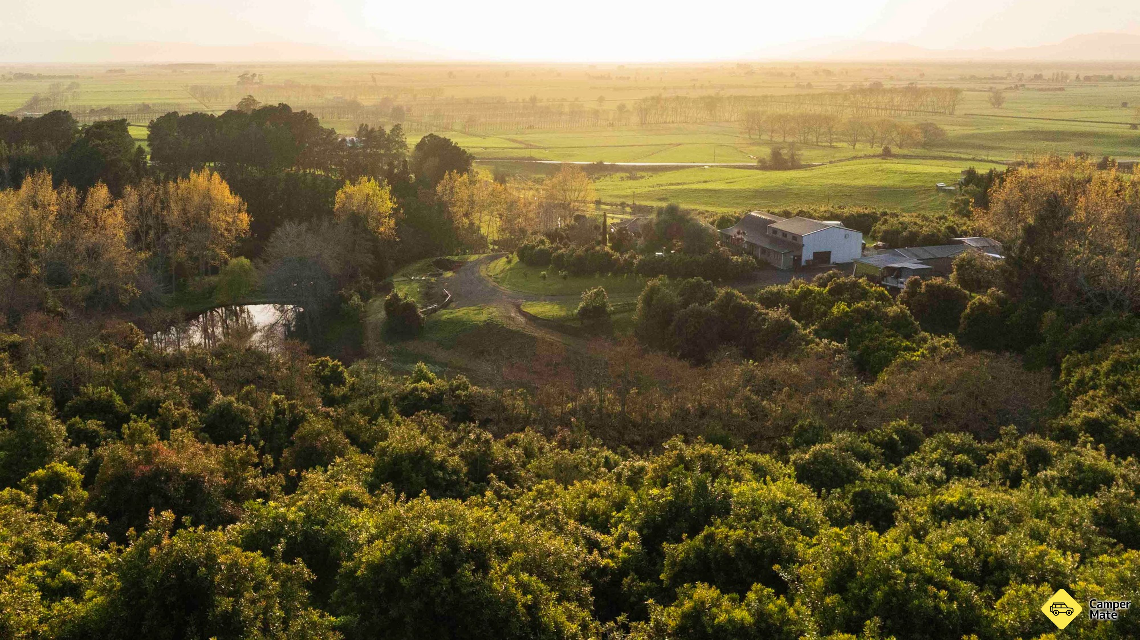 Top Notch Macadamias and Orchard Tours