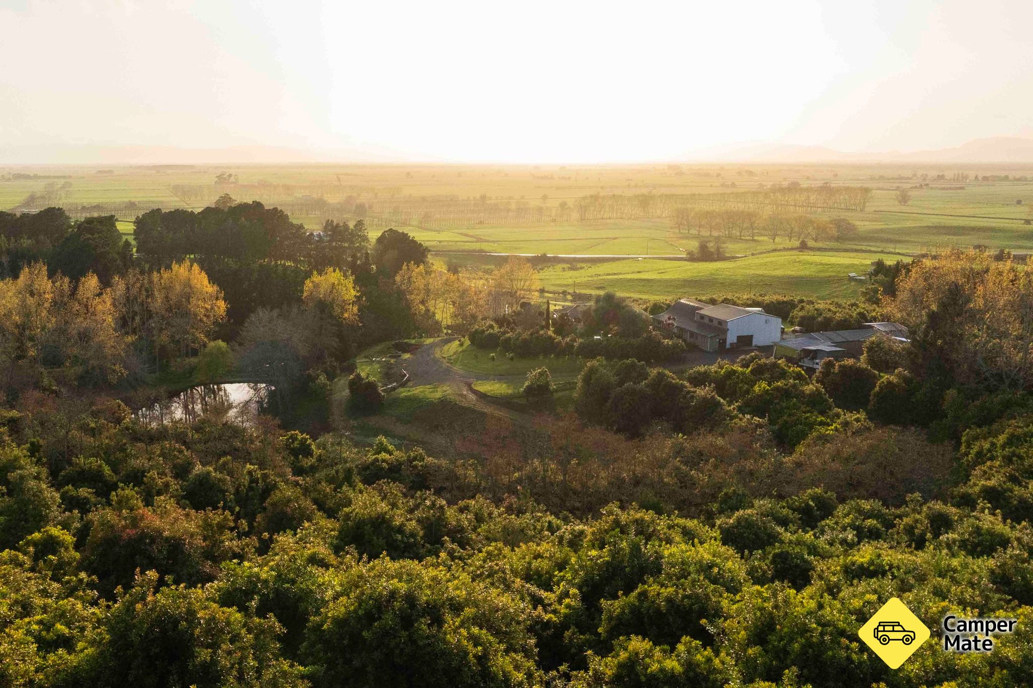 Top Notch Macadamias and Orchard Tours