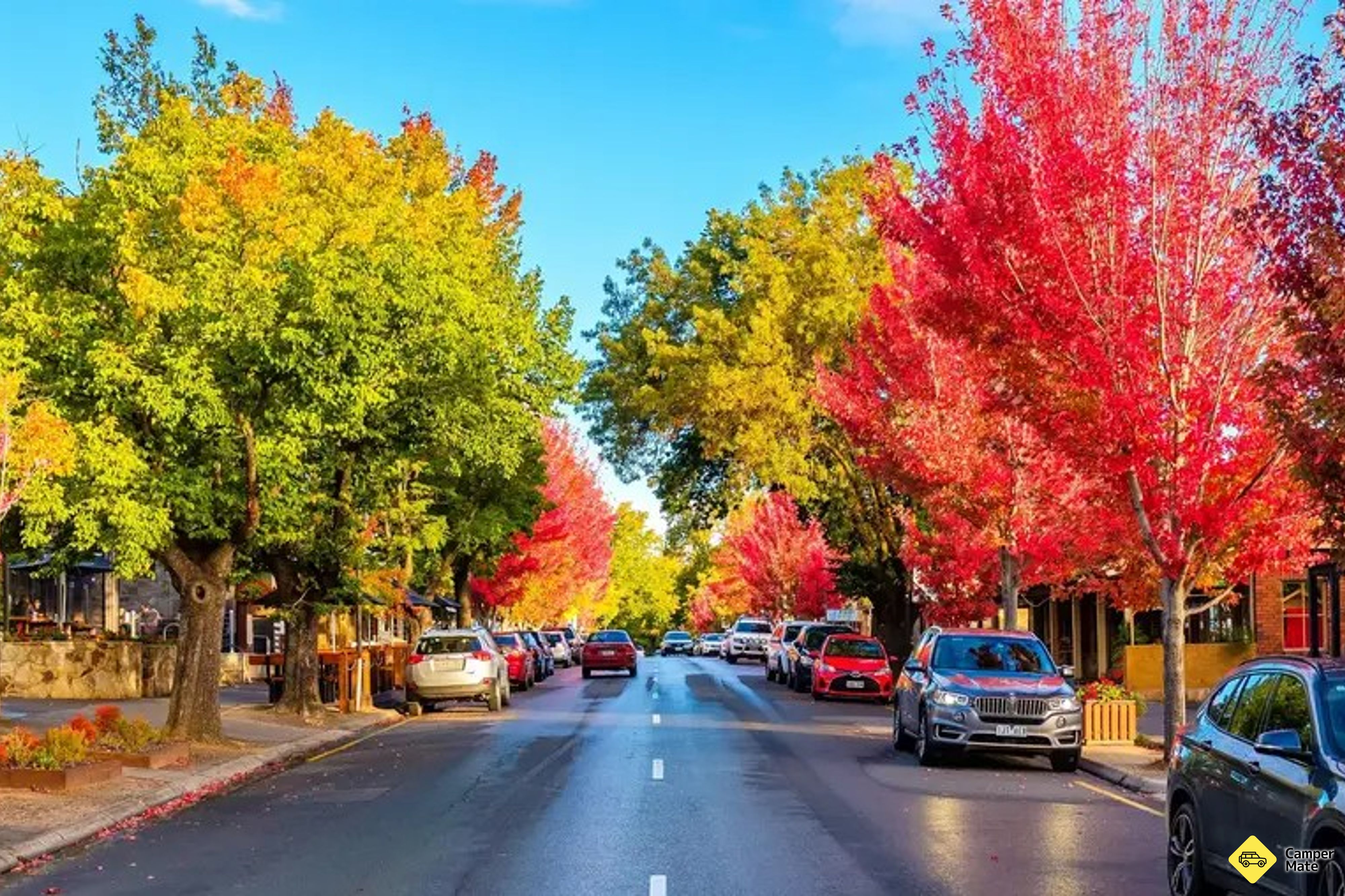 Hahndorf (Town) - Image 3