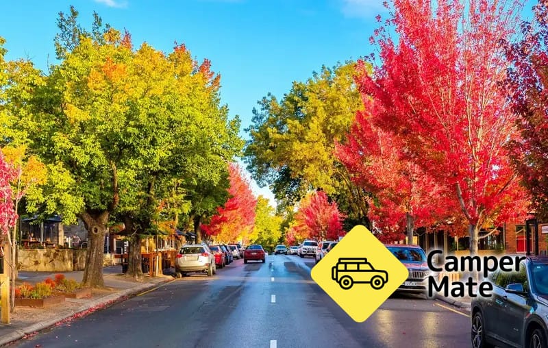 Hahndorf (Town) - Image 3