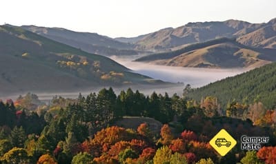 Eastwoodhill Arboretum