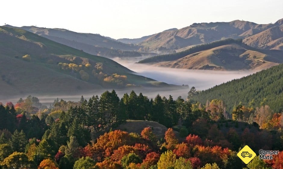 Eastwoodhill Arboretum