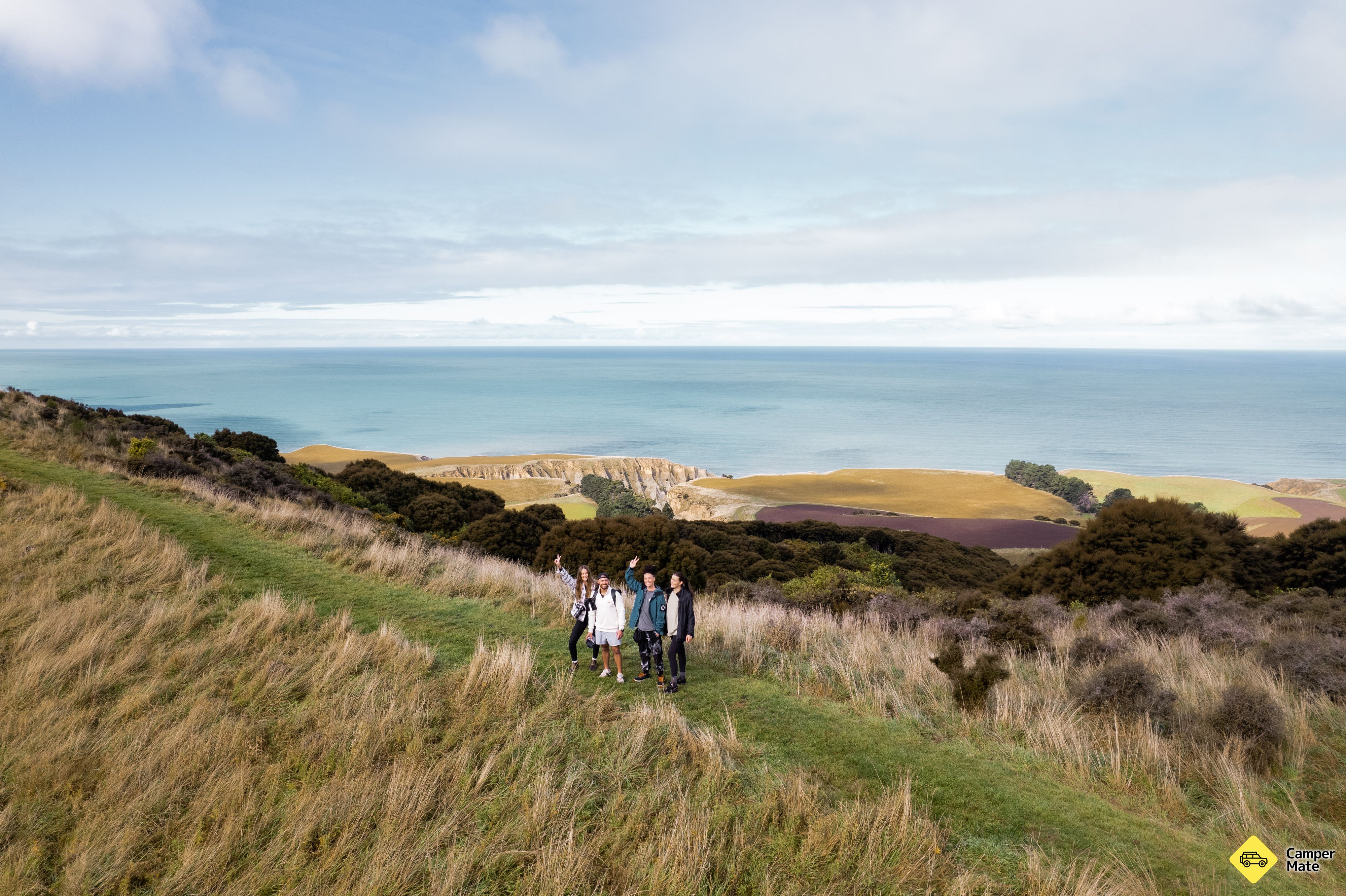 Tiromoana Bush Walk - Image 2