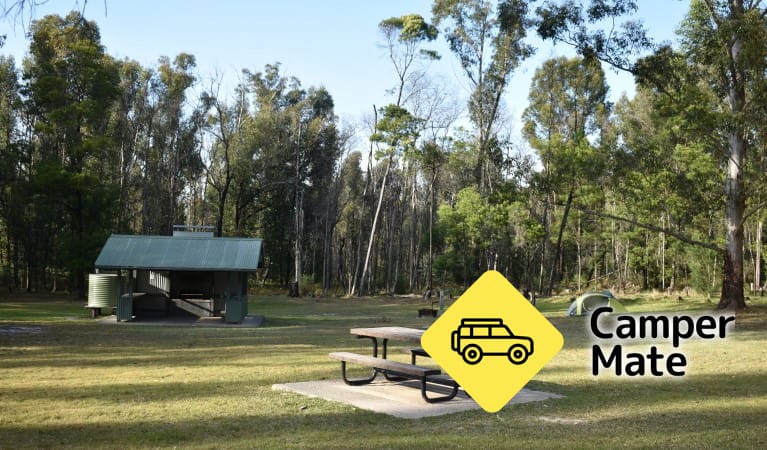 Mogo Campground - Image 2