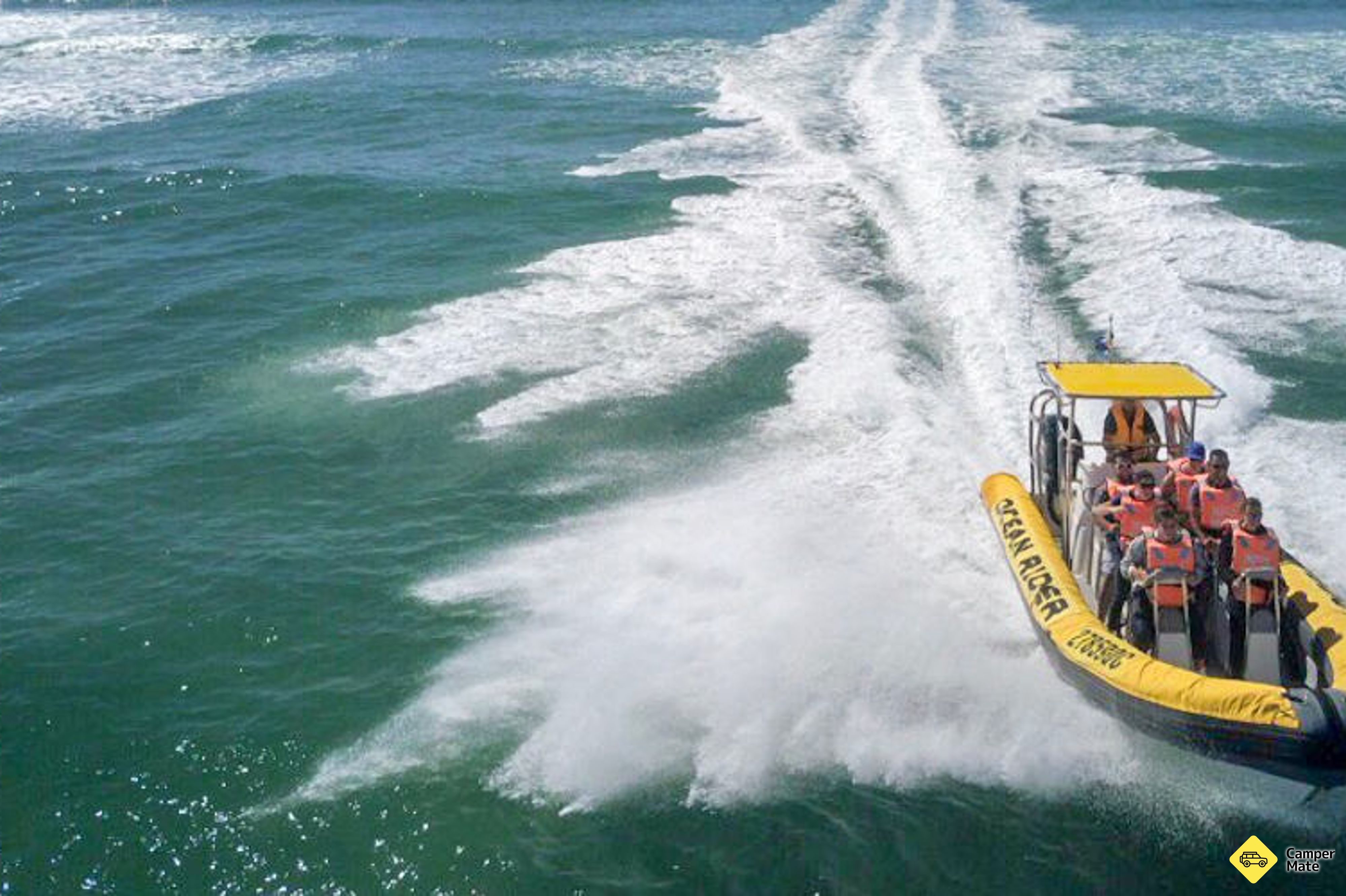Noosa Jetboat Adventure Tour के बारे में टिप्पणियाँ - Image 3