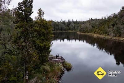 Lake Hanlon Track