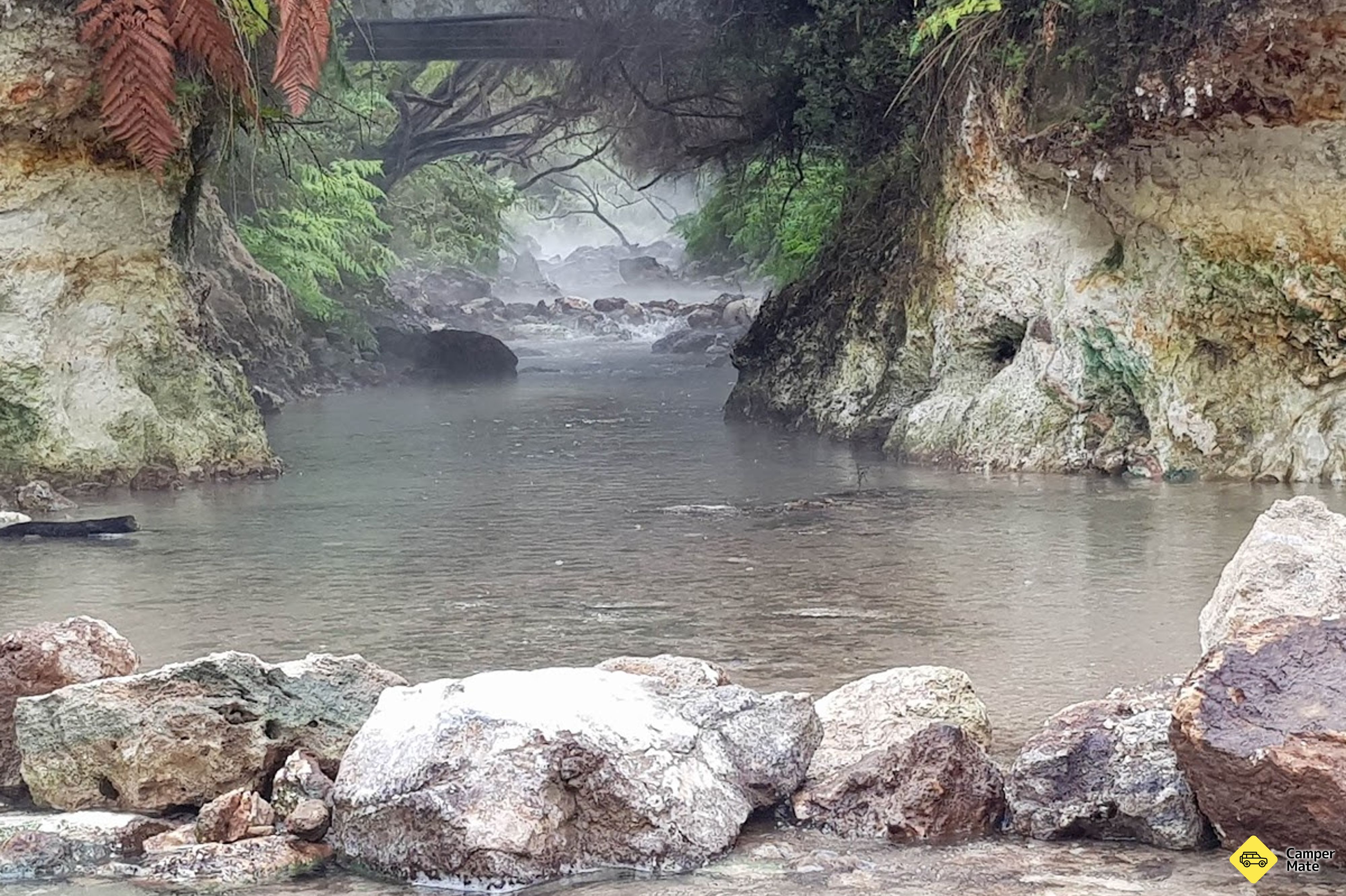 Waiotapu Stream Hot and Cold Springs - Image 3