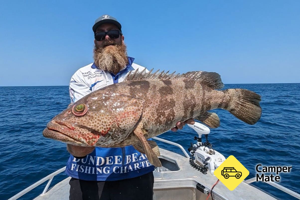 Dundee Beach Fishing Charters - Image 2