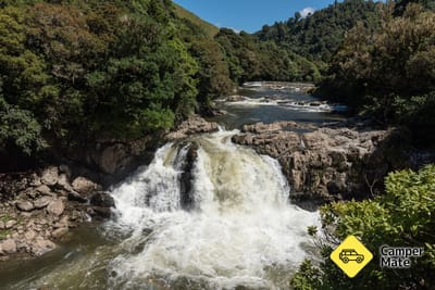Motu Falls and Swingbridge 근처 오락거리