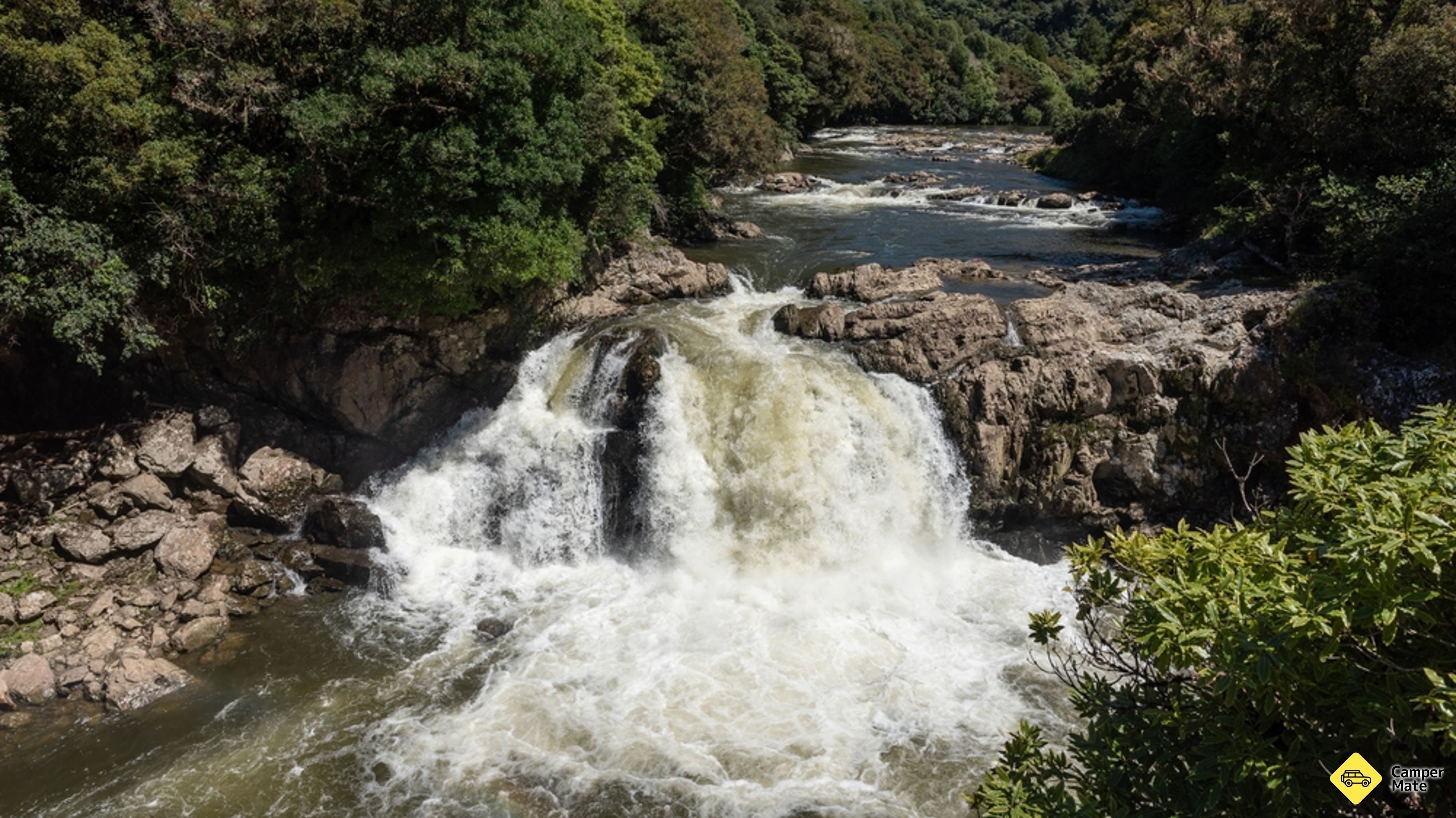 Motu Falls & Swingbridge