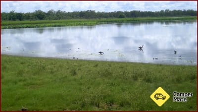 Mamukala Wetlands and Bird Hide
