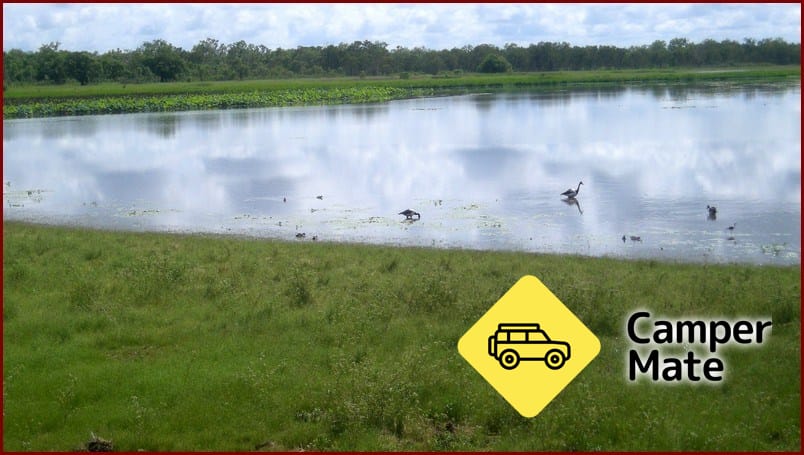 Mamukala Wetlands and Bird Hide